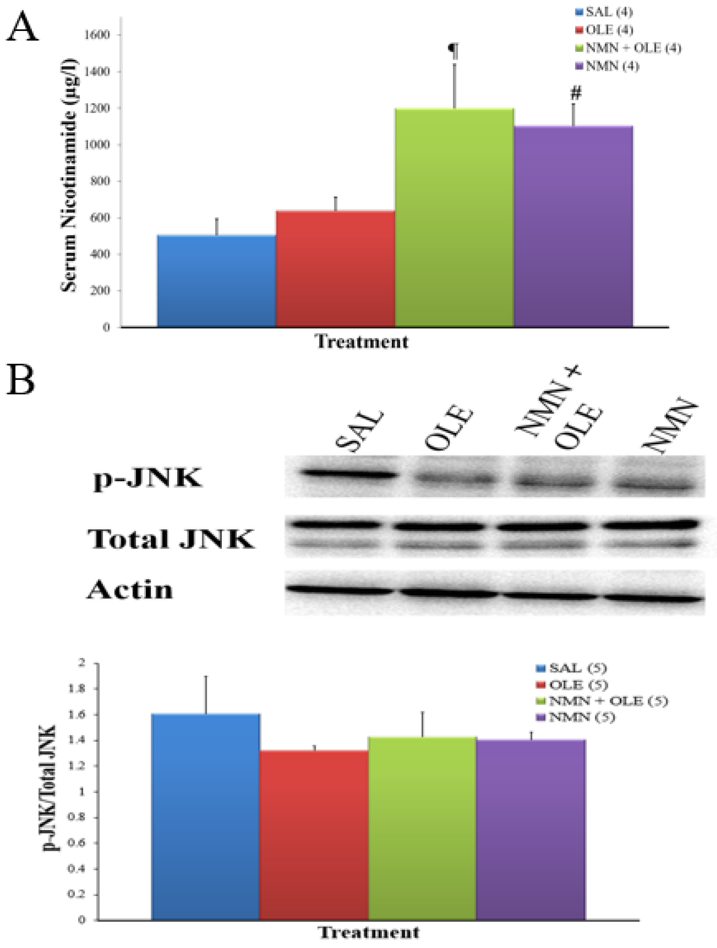 Ijms 22 13224 g004a Ijms 22 13224 g004a