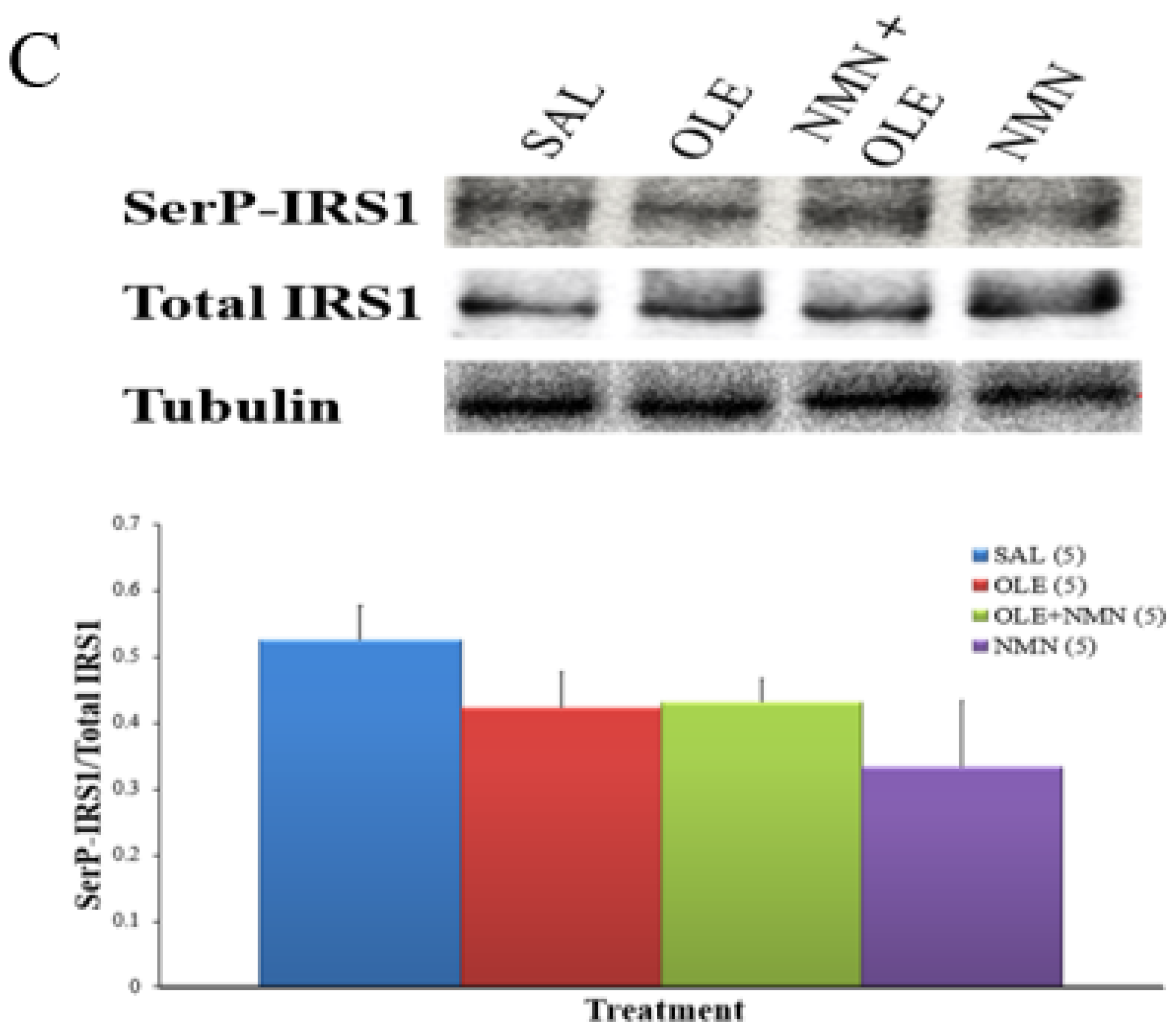 Ijms 22 13224 g004b Ijms 22 13224 g004b