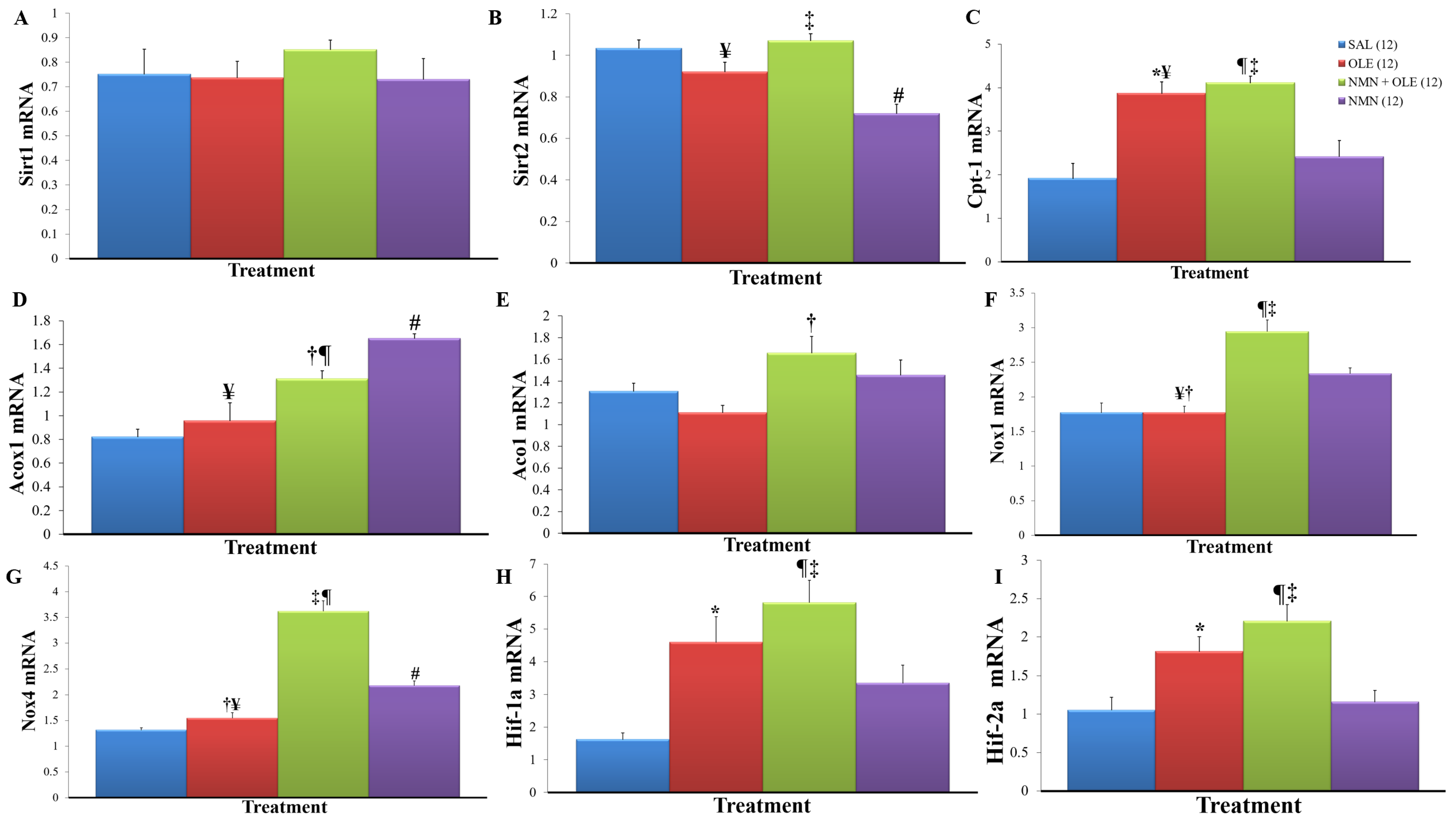 Ijms 22 13224 g005 Ijms 22 13224 g005