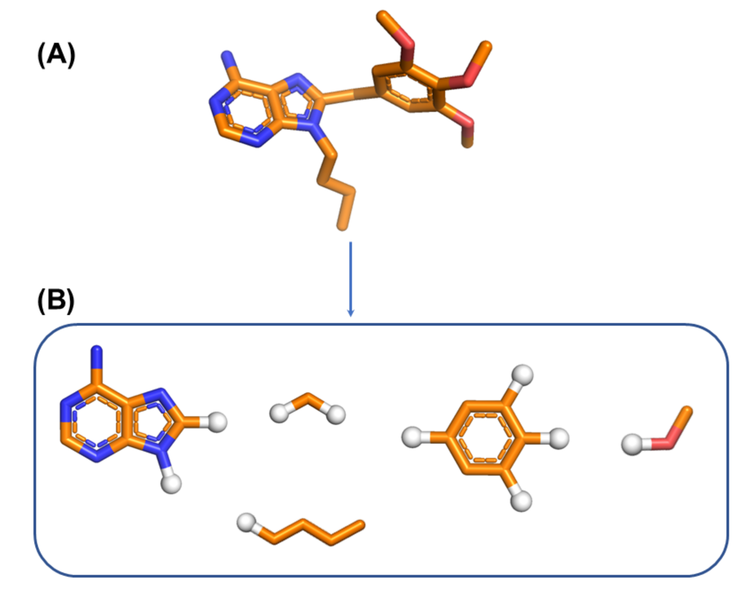 Ijms 22 13226 g002 550