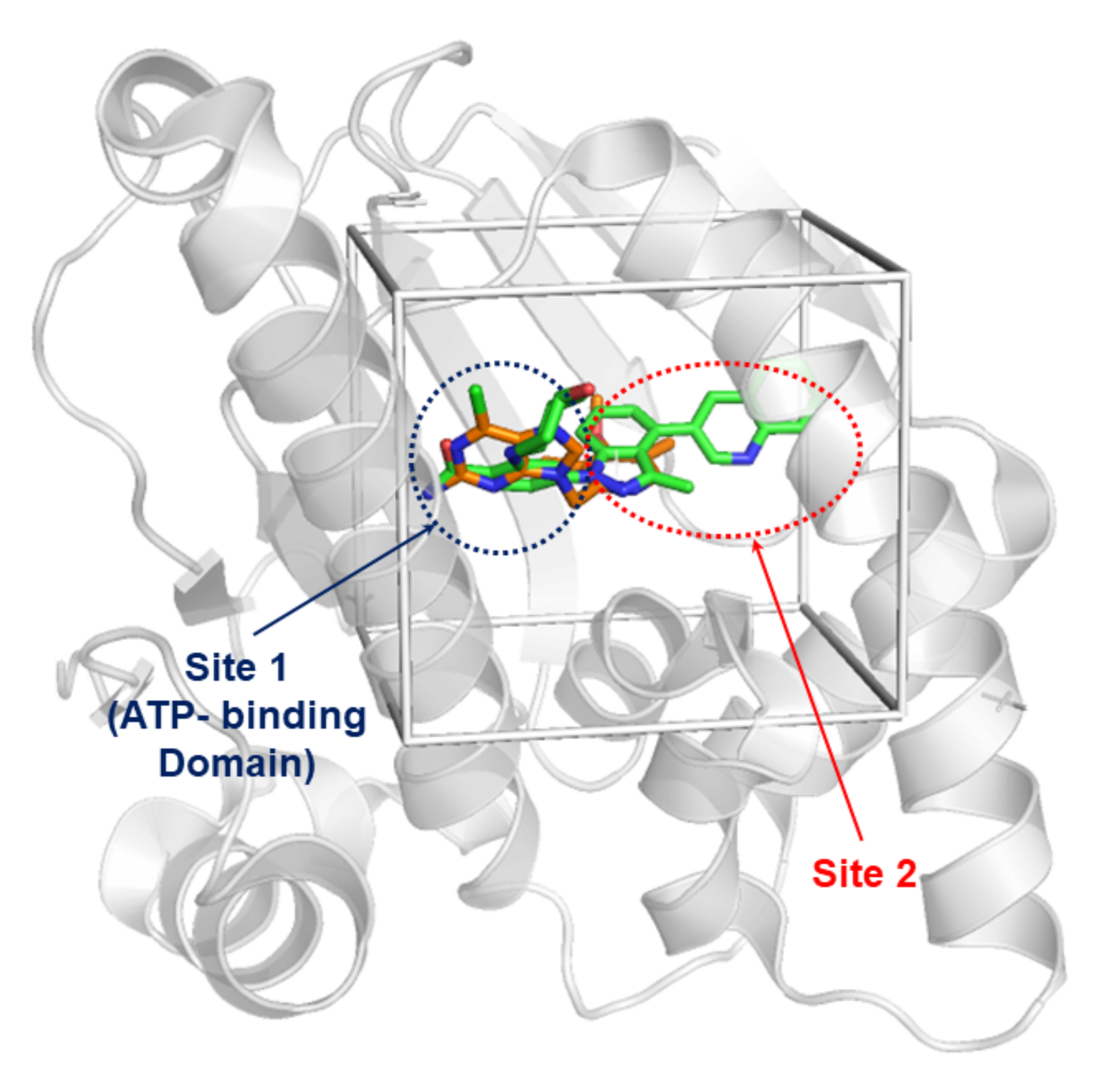 Ijms 22 13226 g003 550