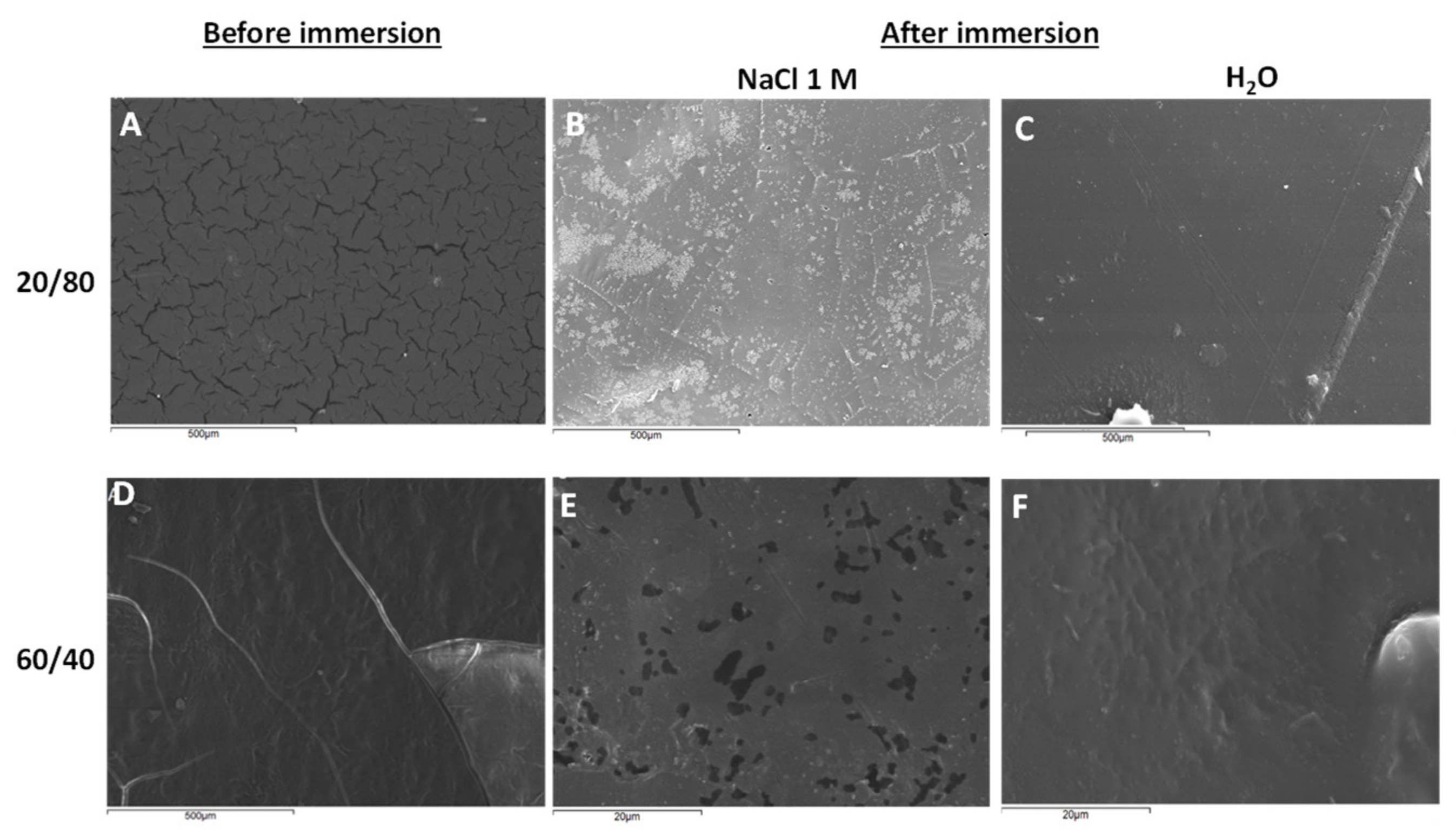 Ijms 22 13236 g004 550