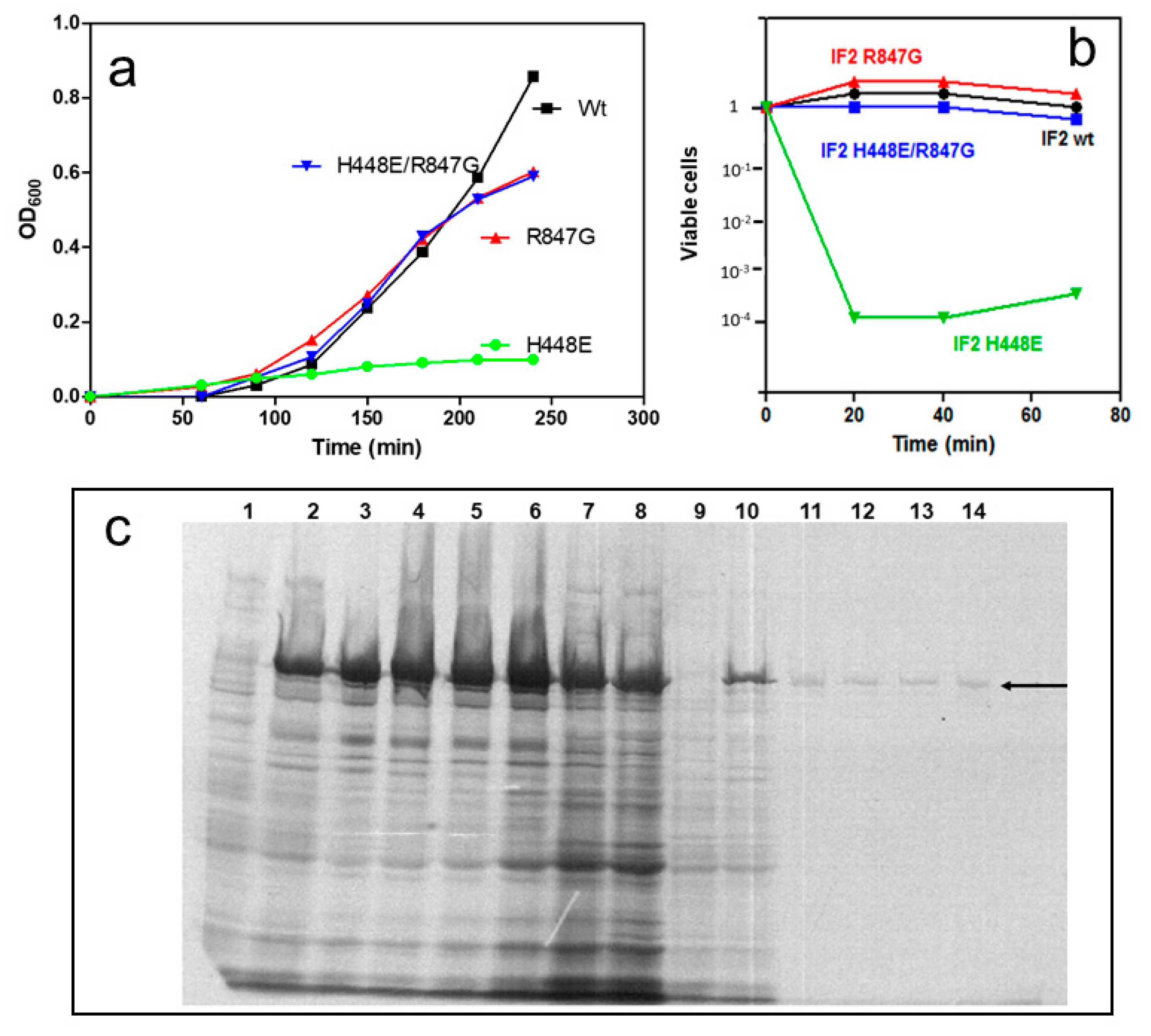 Ijms 22 13238 g002 Ijms 22 13238 g002