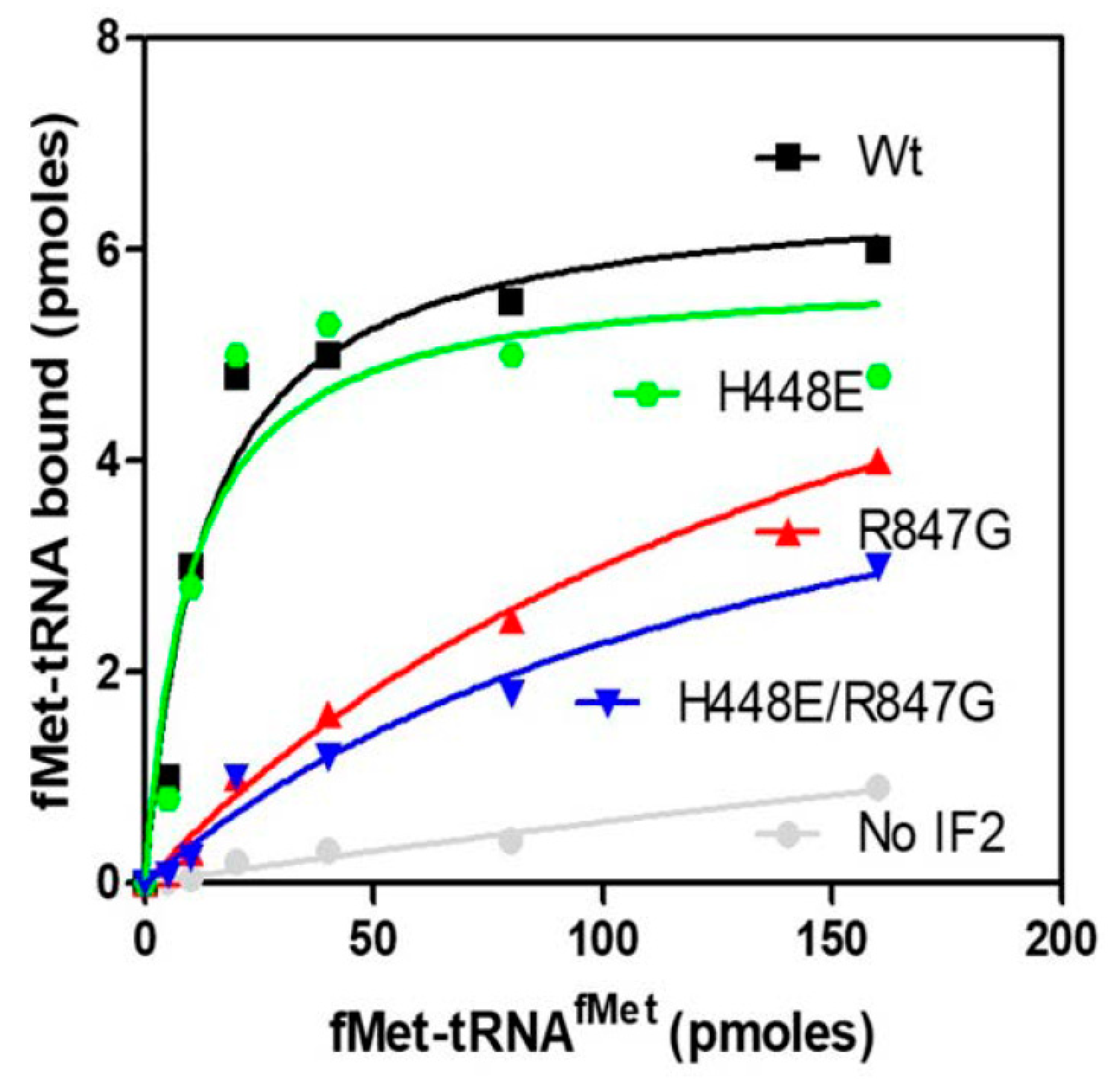 Ijms 22 13238 g004 Ijms 22 13238 g004