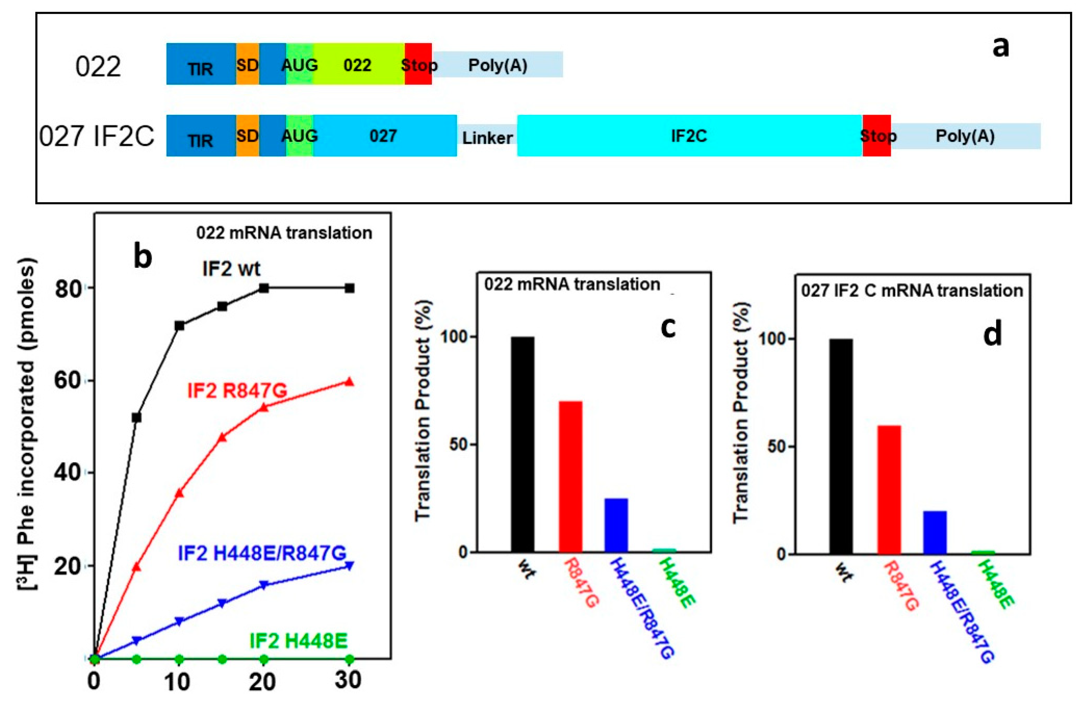 Ijms 22 13238 g008 Ijms 22 13238 g008