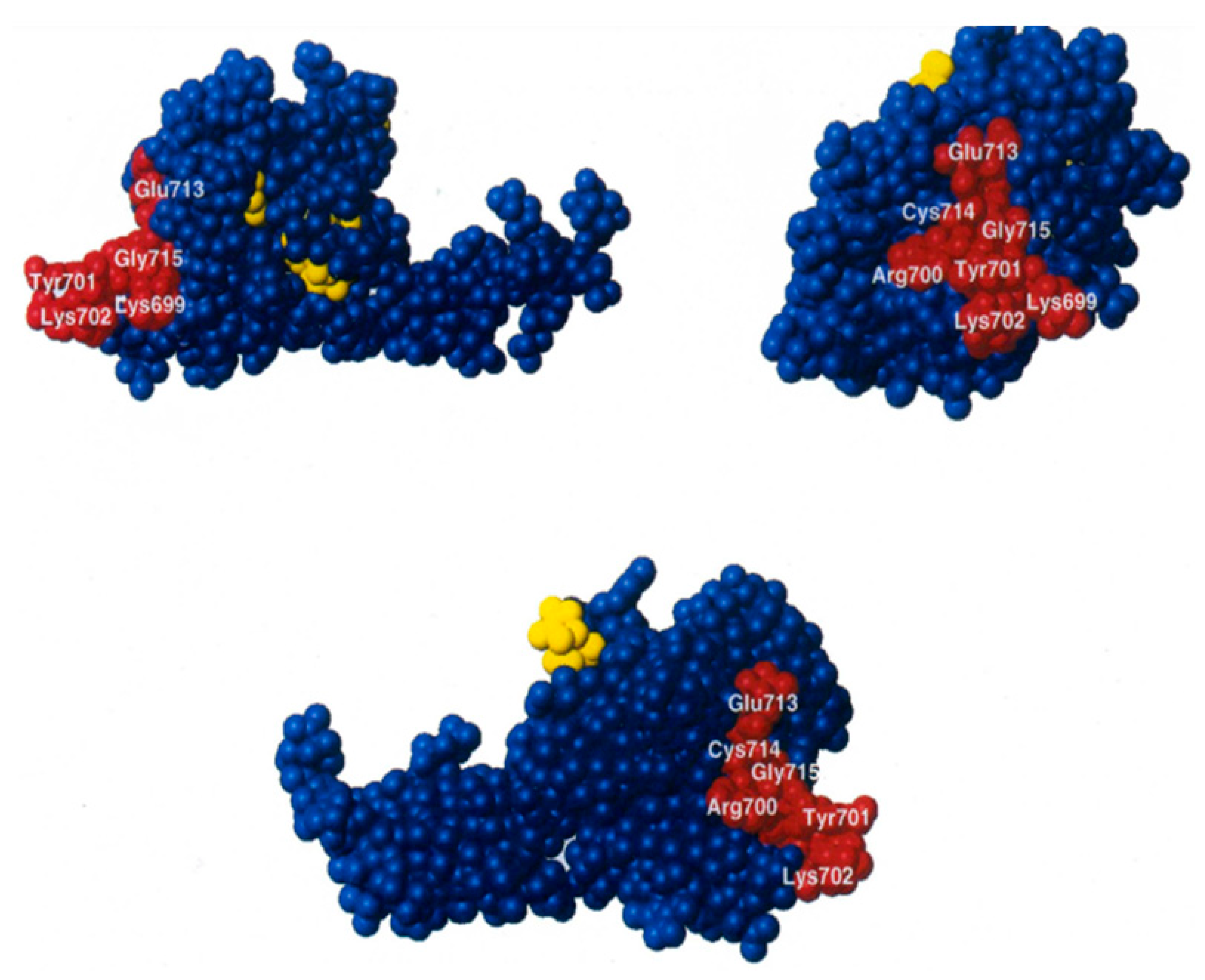 Ijms 22 13238 g009 Ijms 22 13238 g009