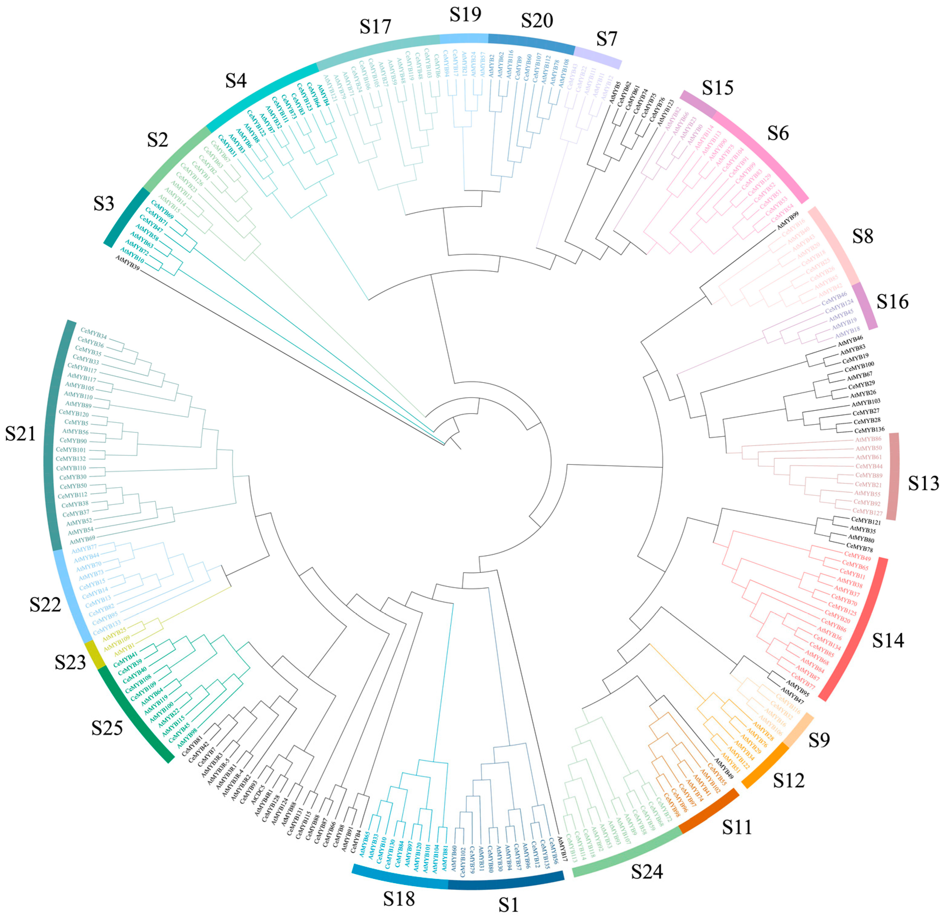 Ijms 22 13245 g001 550