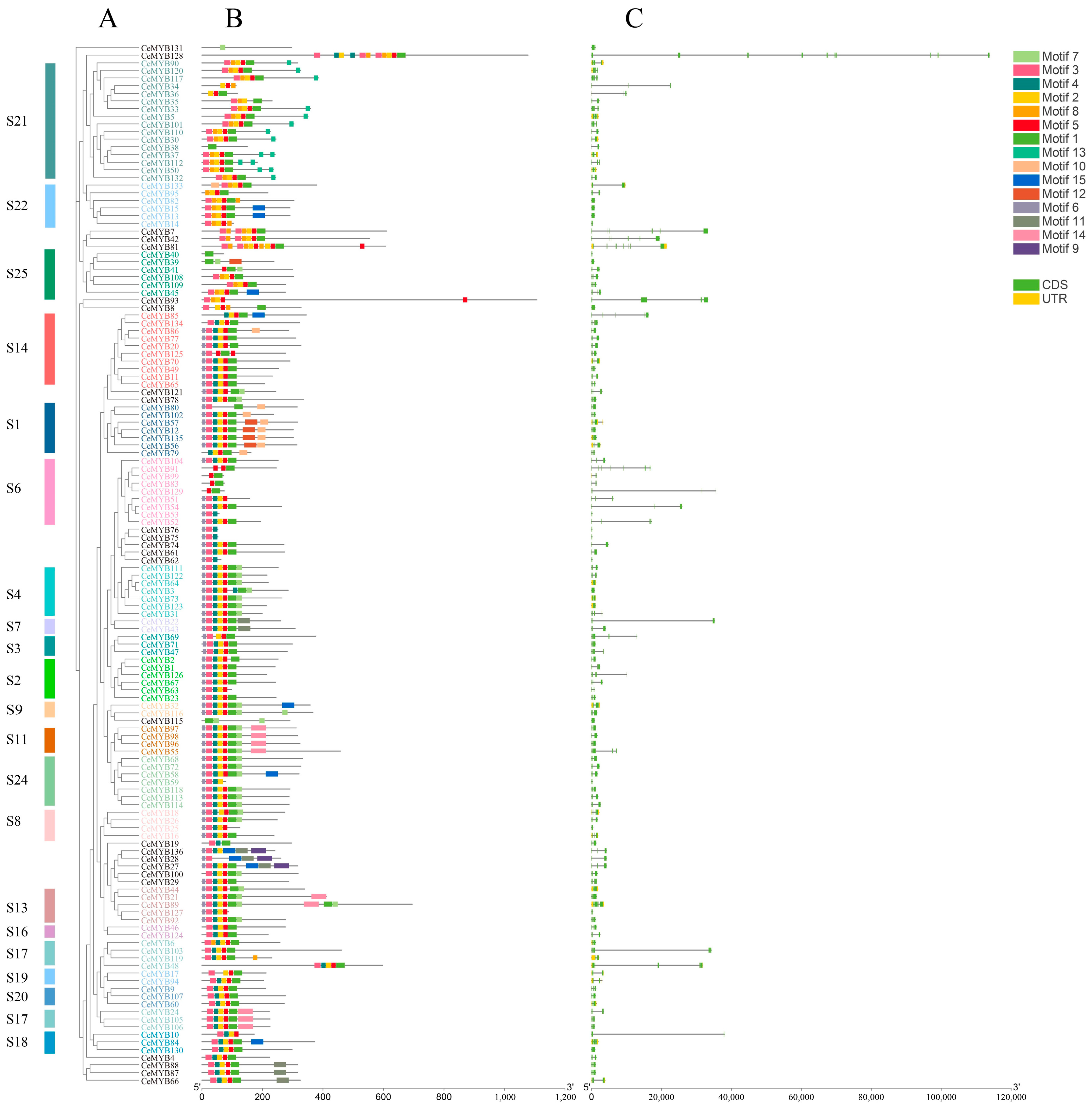 Ijms 22 13245 g002 550