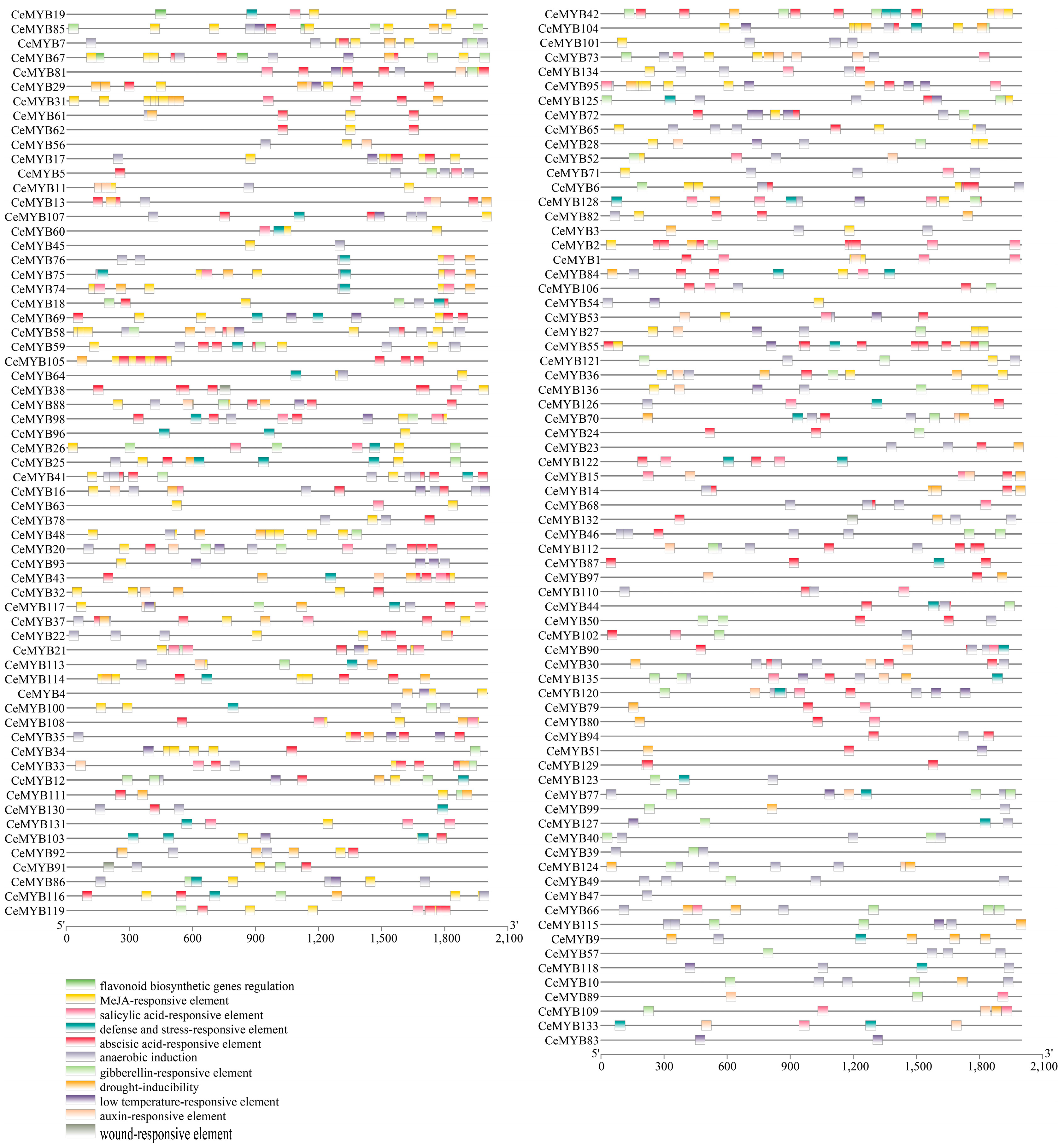 Ijms 22 13245 g004 550