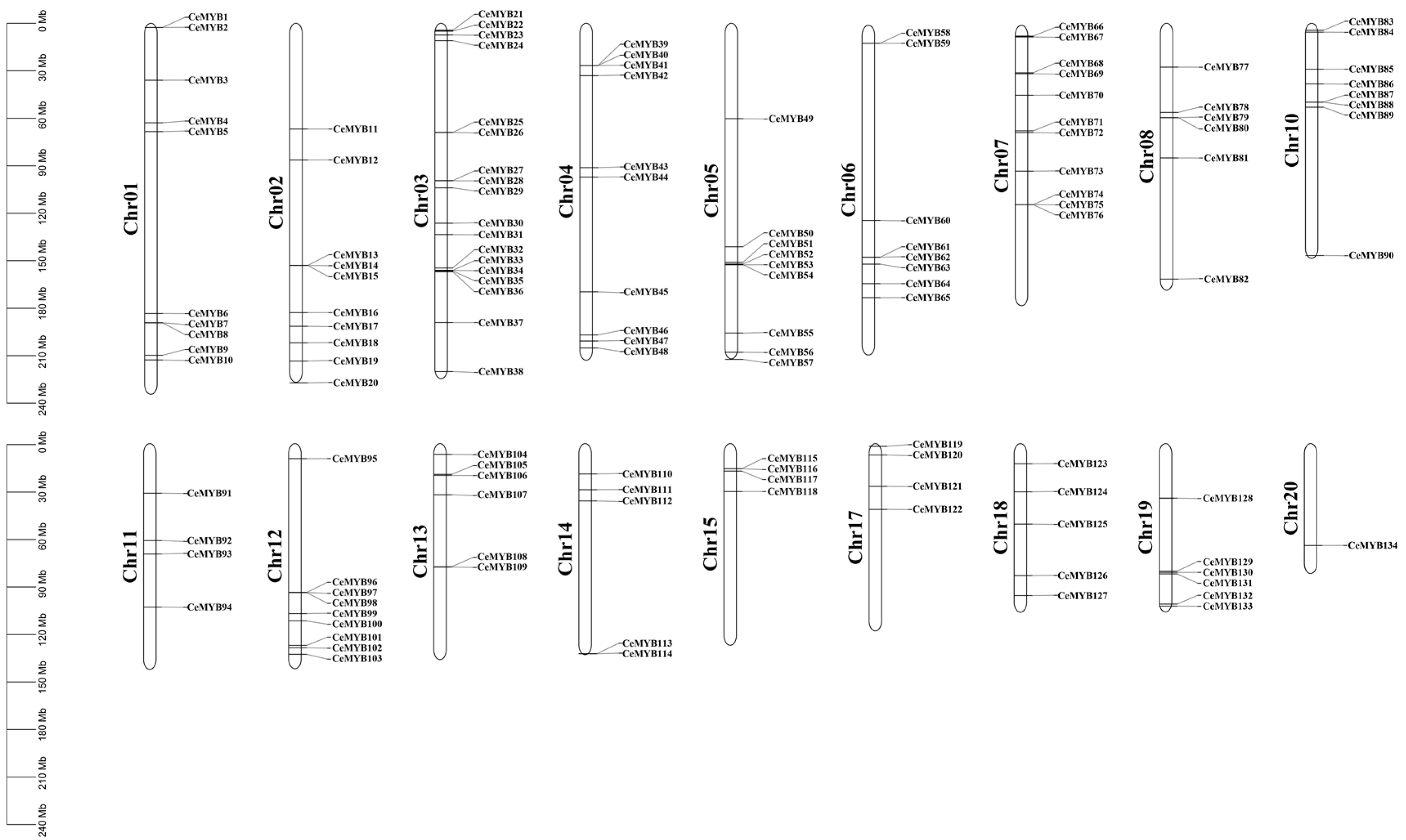 Ijms 22 13245 g005 550