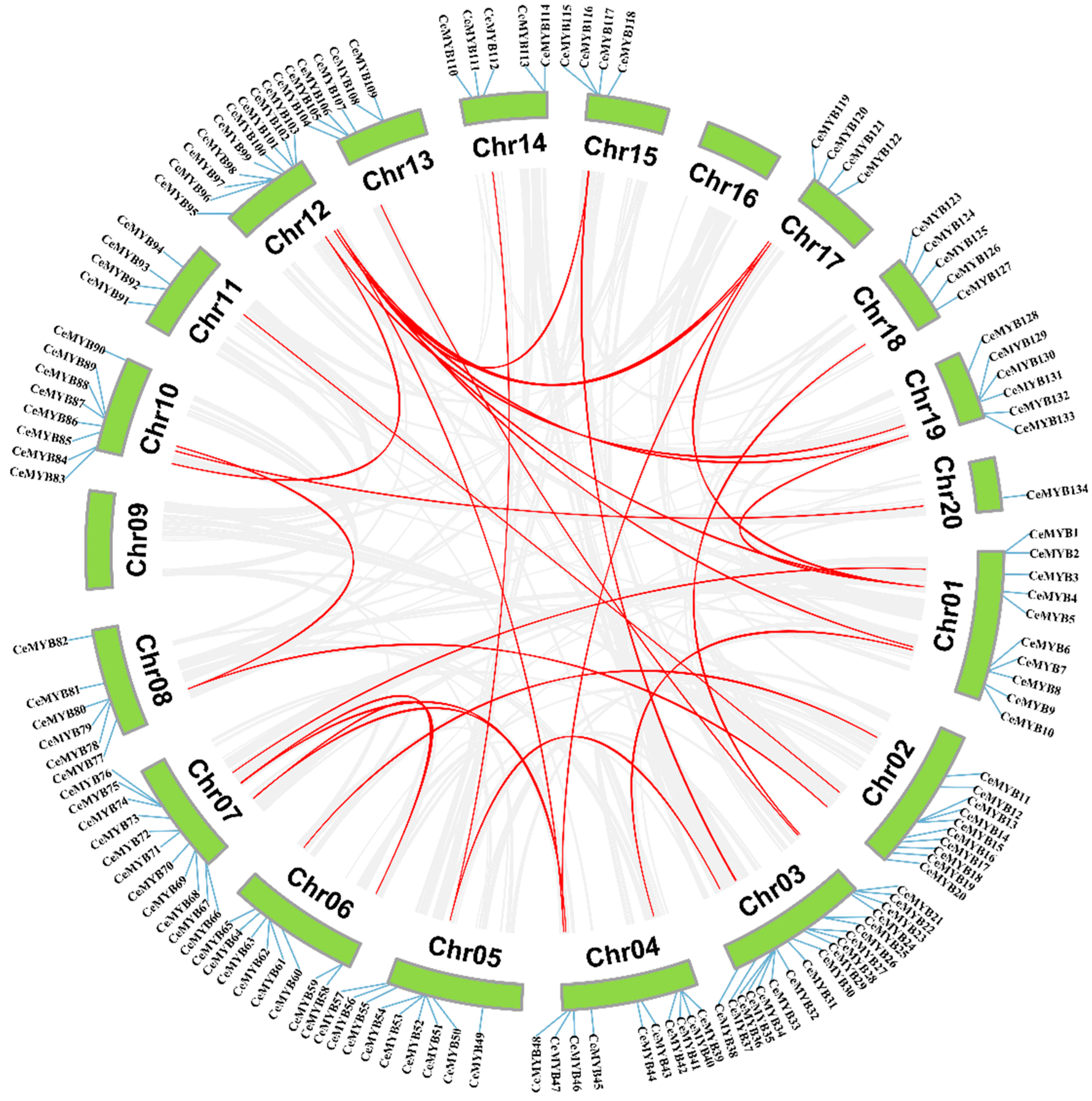 Ijms 22 13245 g006 550