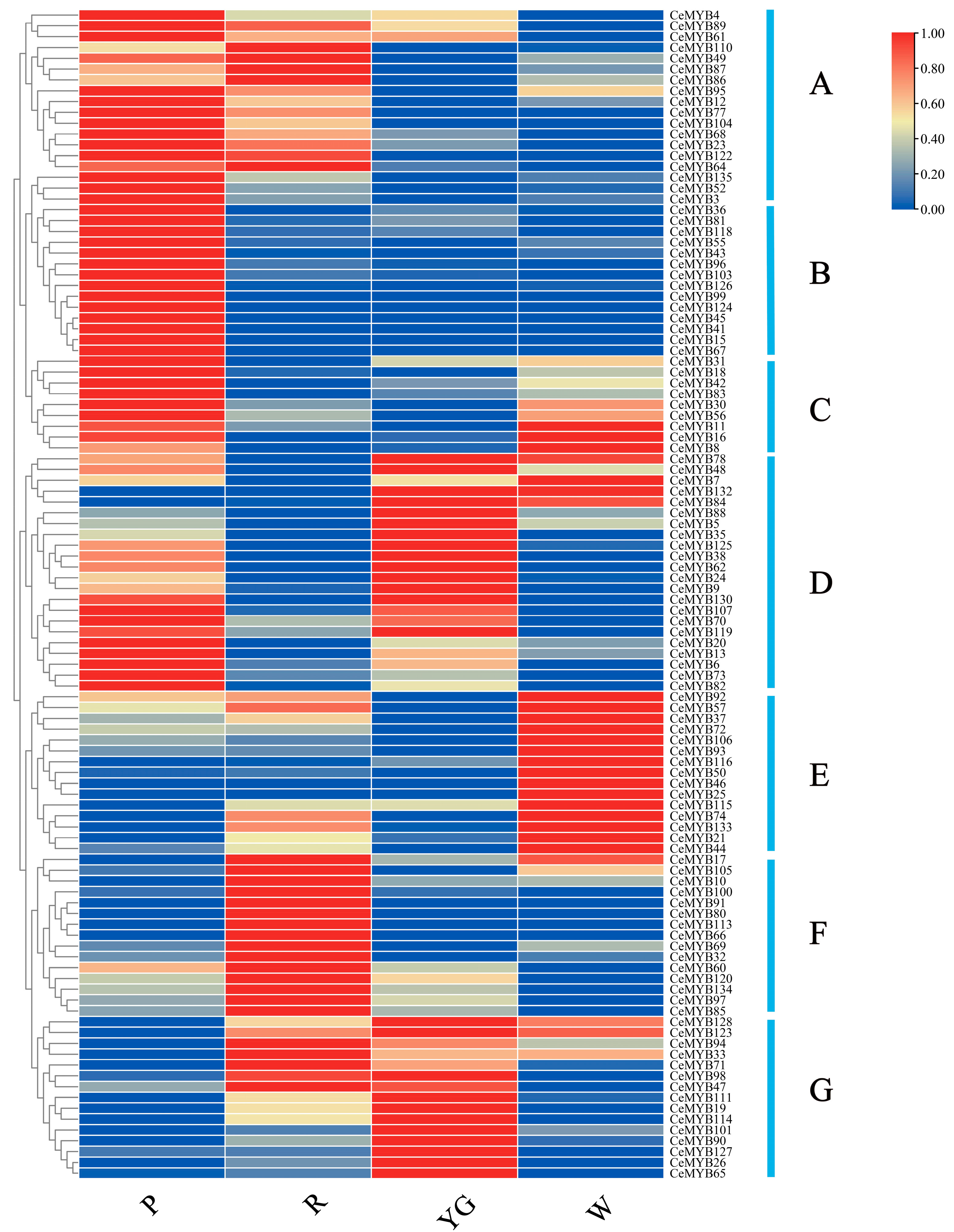 Ijms 22 13245 g007 550