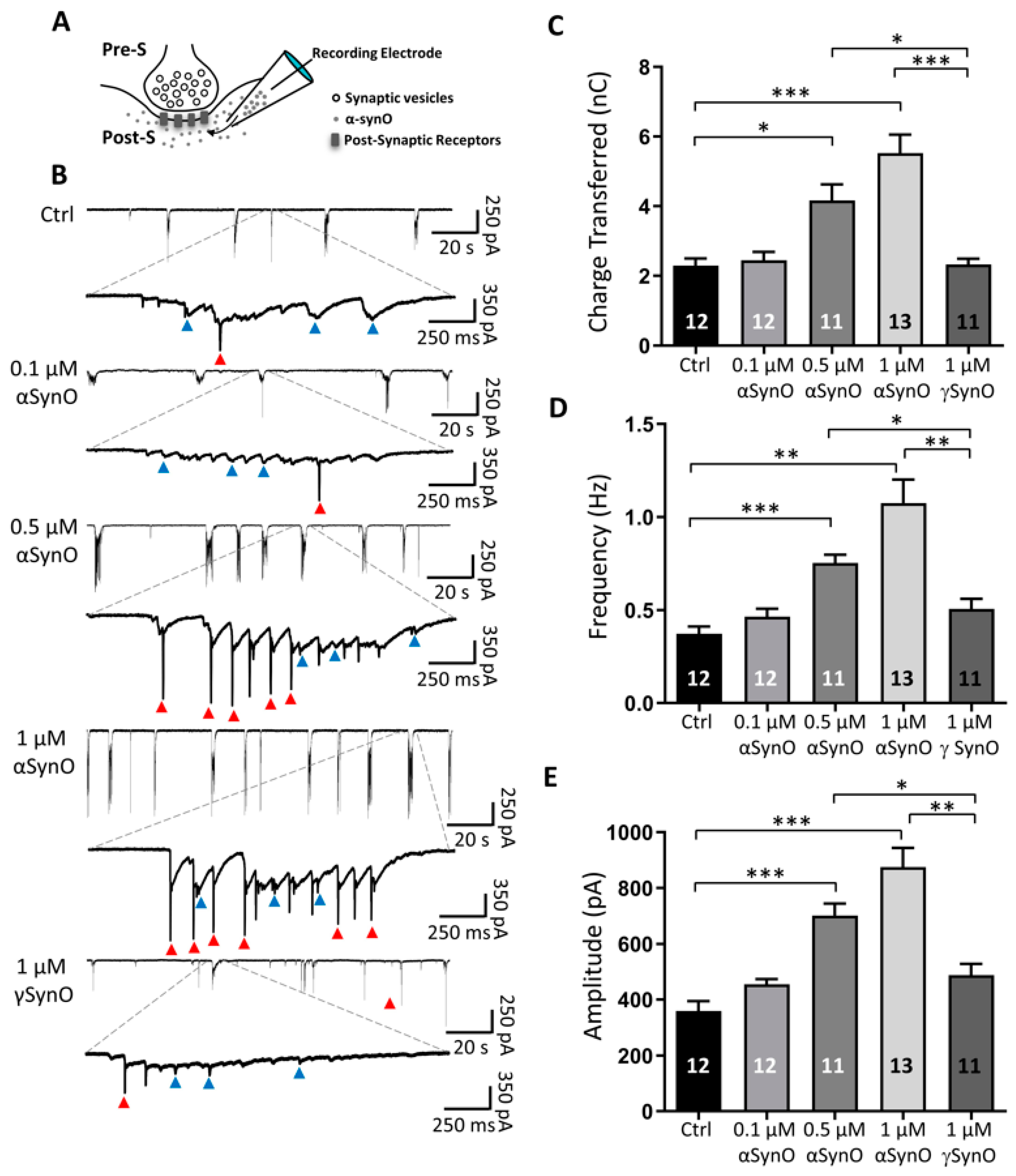 Ijms 22 13253 g003 550