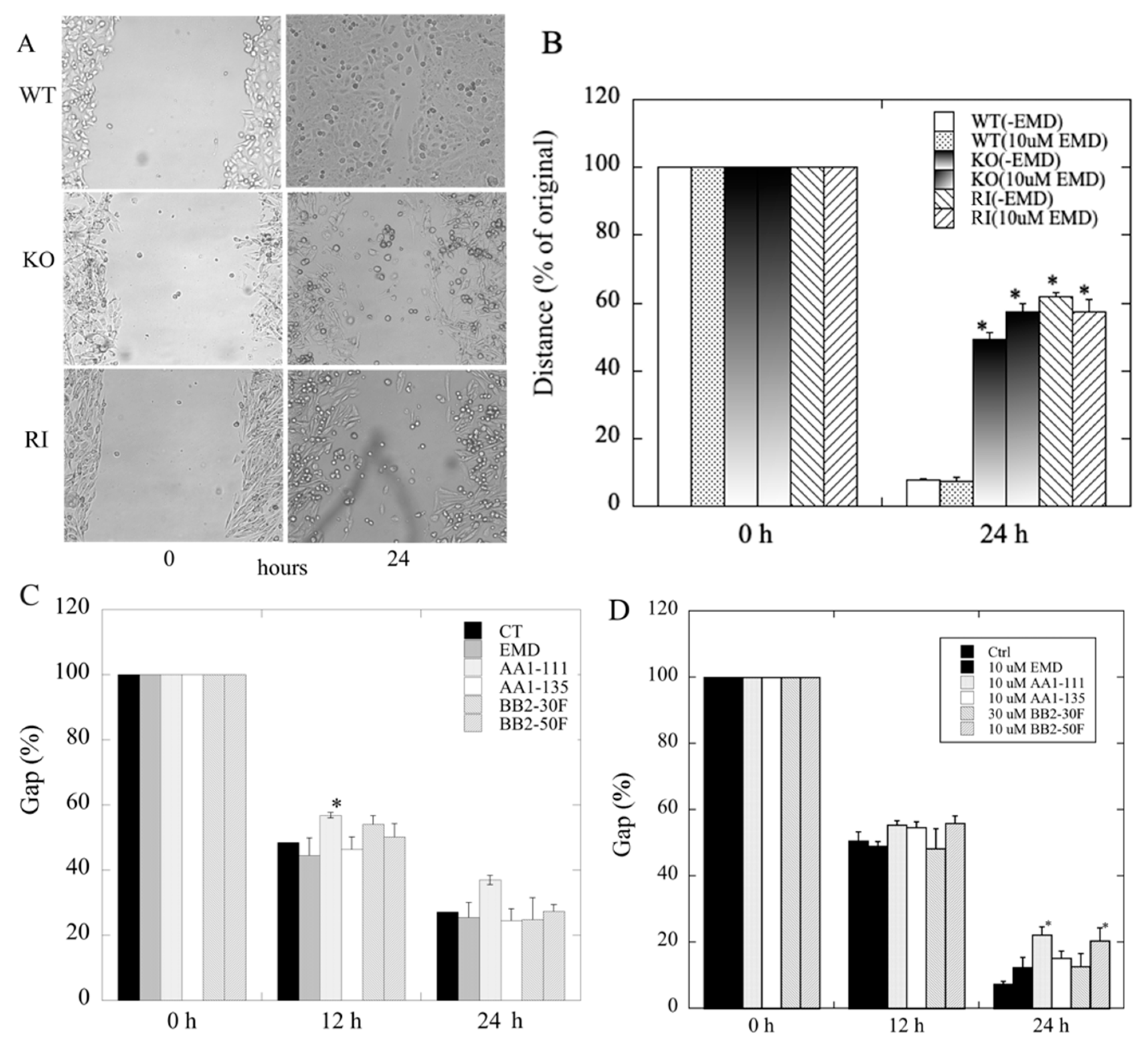 Ijms 22 13263 g004 Ijms 22 13263 g004