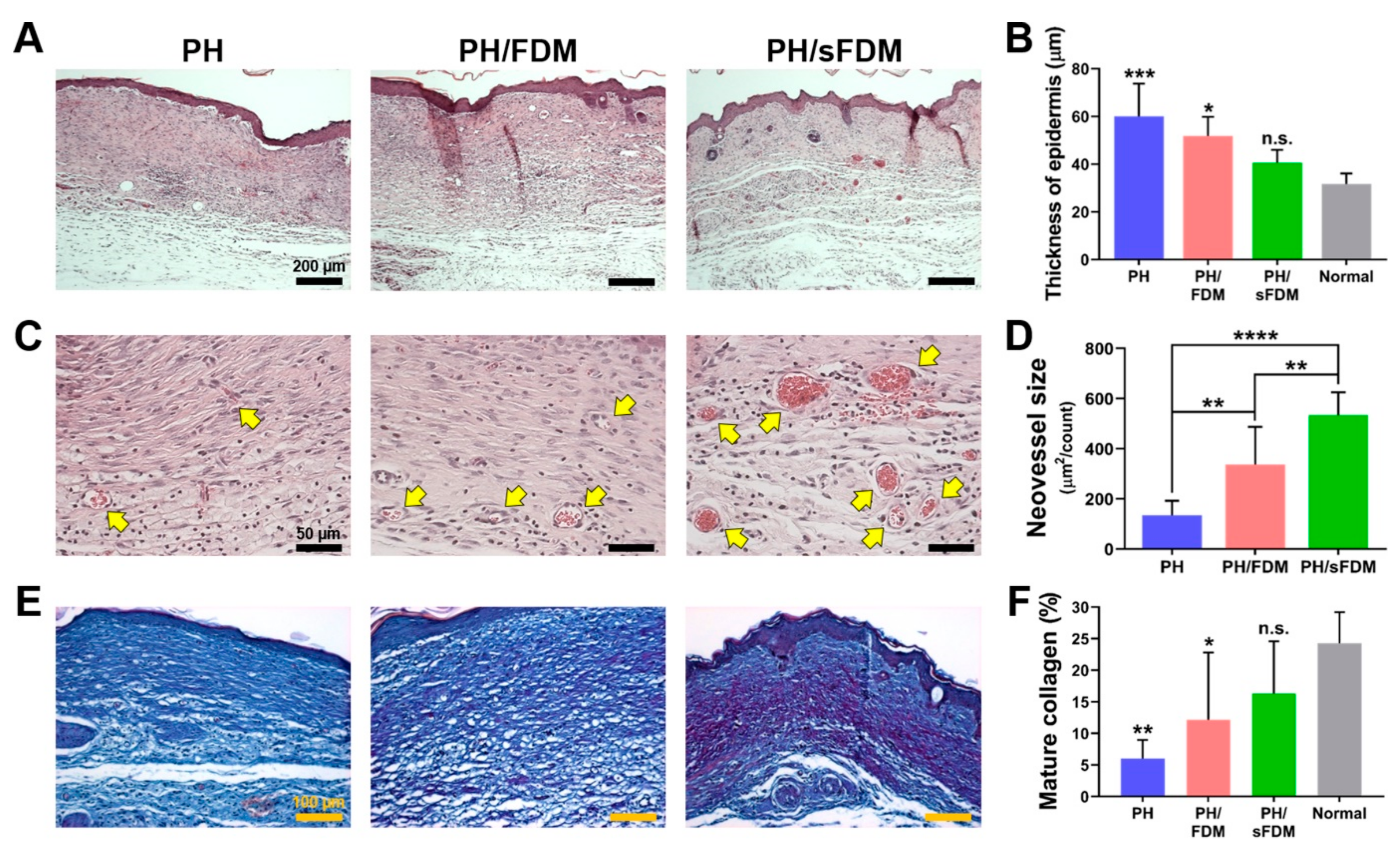 Ijms 22 13265 g004 550