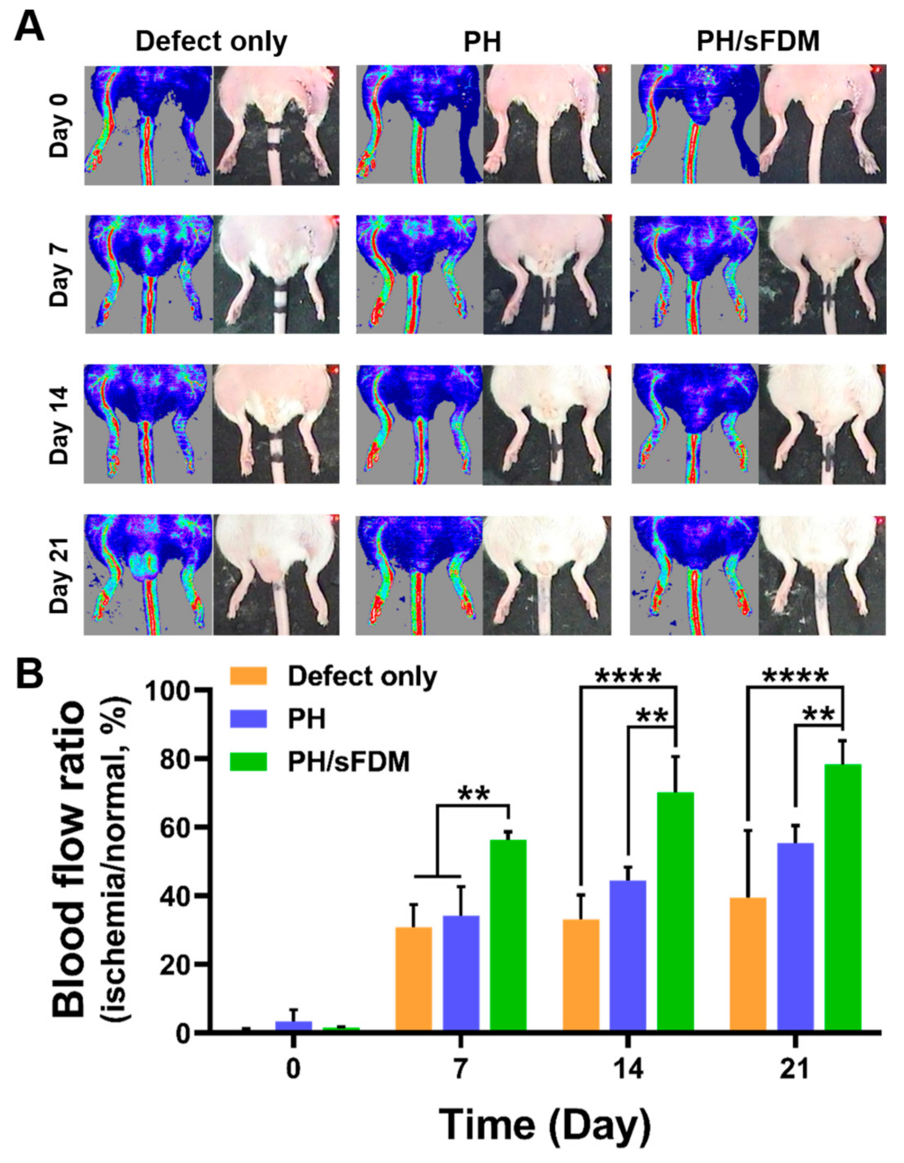 Ijms 22 13265 g005 550