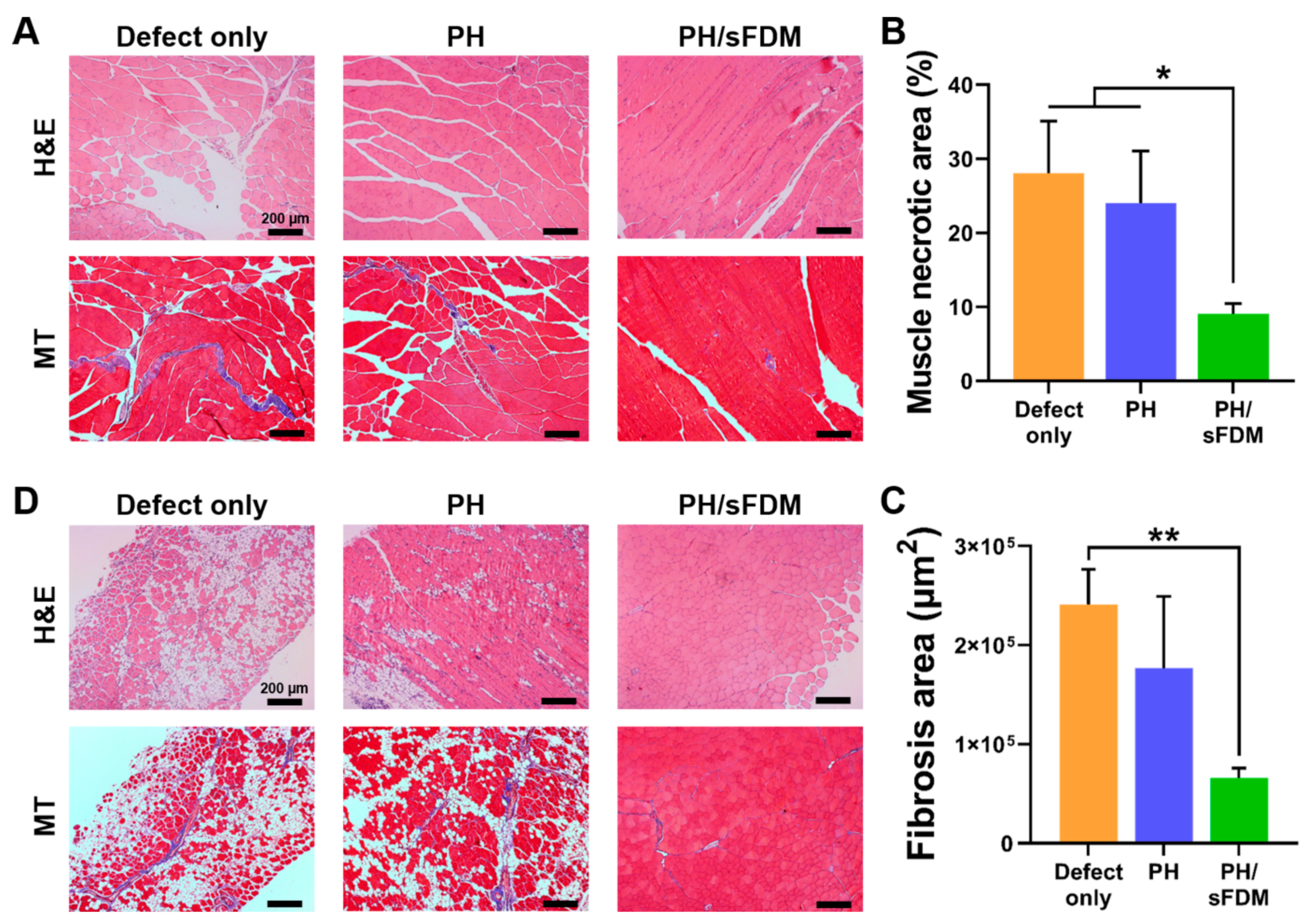 Ijms 22 13265 g006 550
