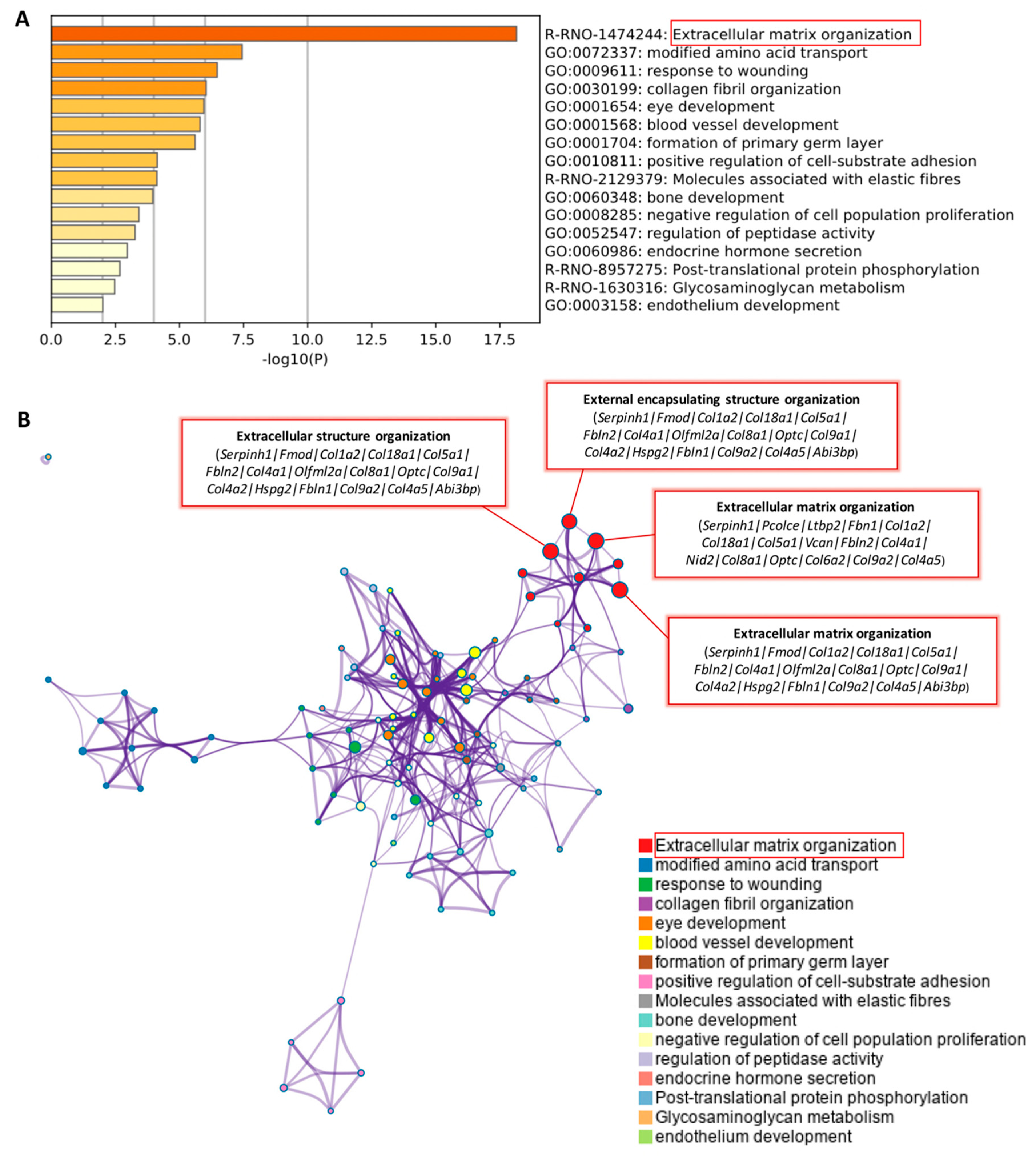 Ijms 22 13276 g003 Ijms 22 13276 g003