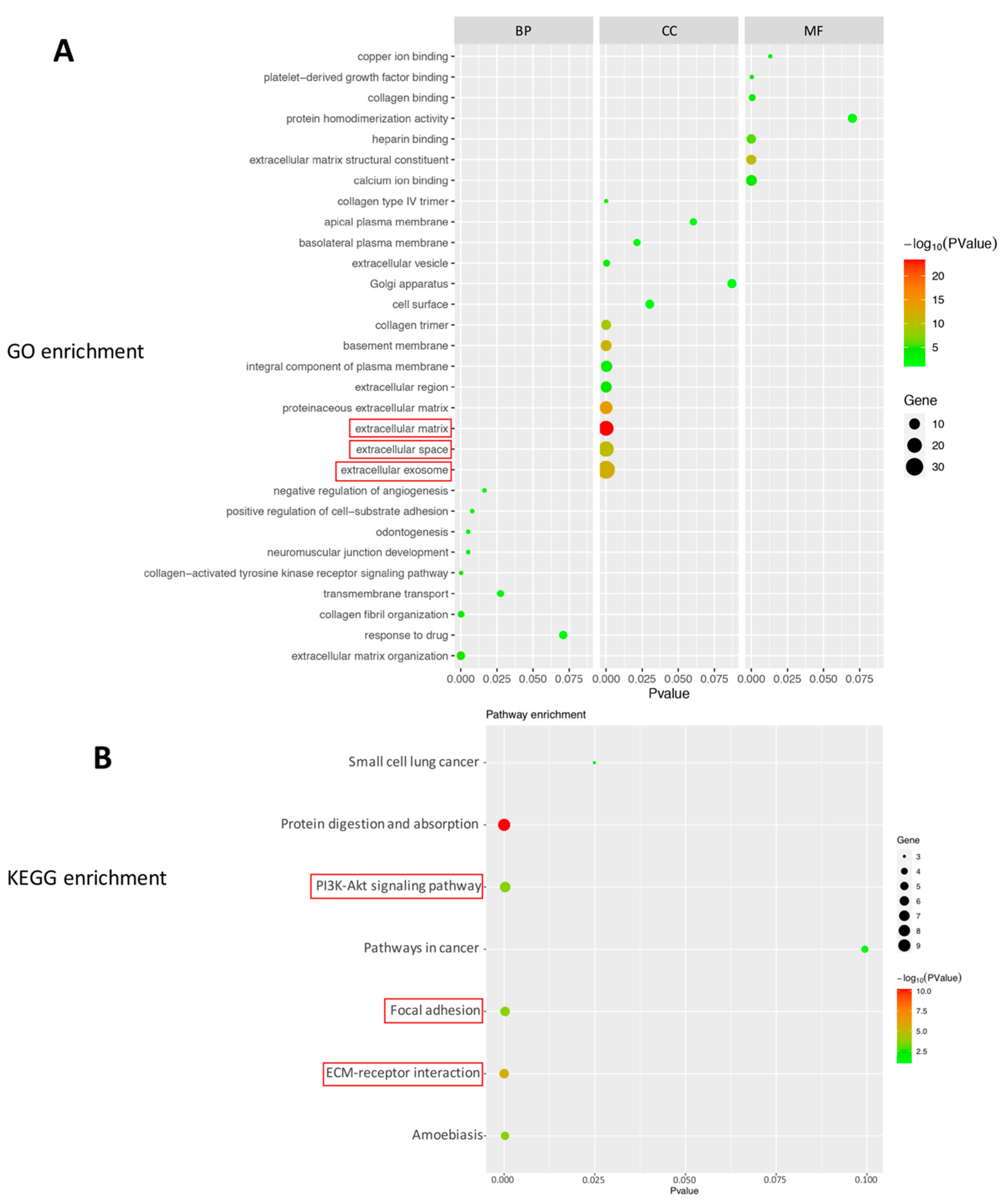 Ijms 22 13276 g004 Ijms 22 13276 g004