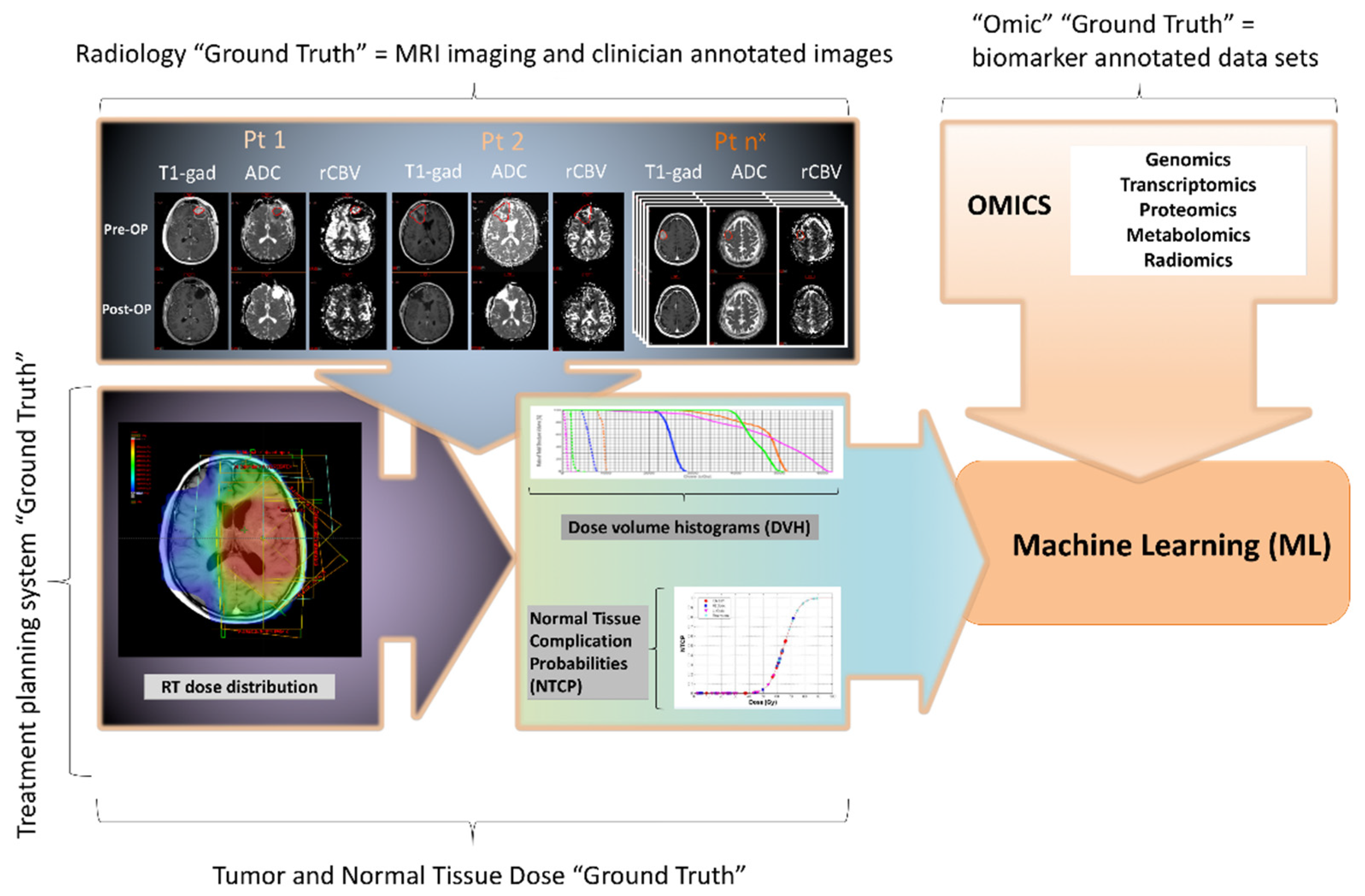 Molecular Biology in Treatment Decision Processes—Neuro 