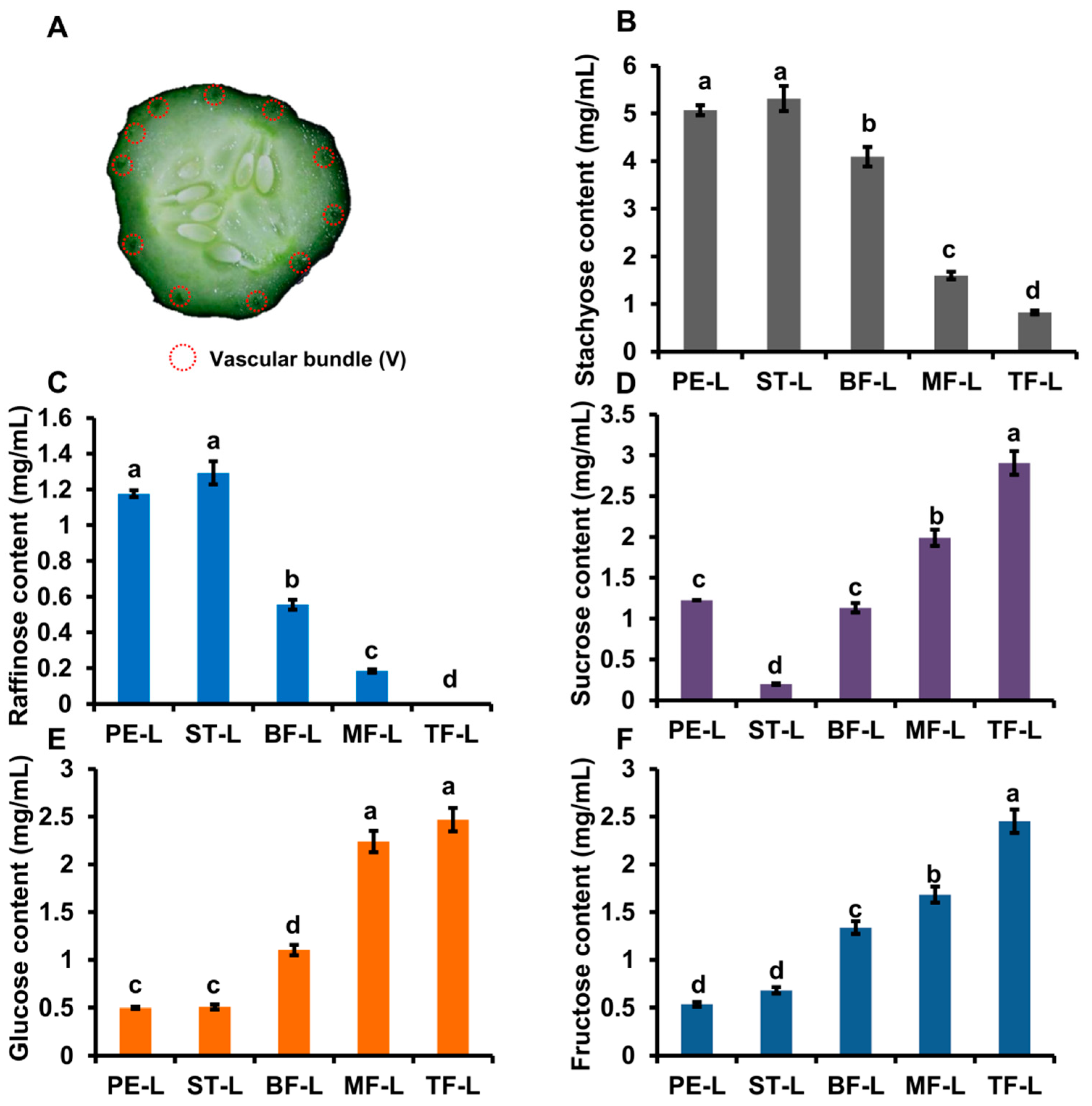 Ijms 22 13285 g002 Ijms 22 13285 g002