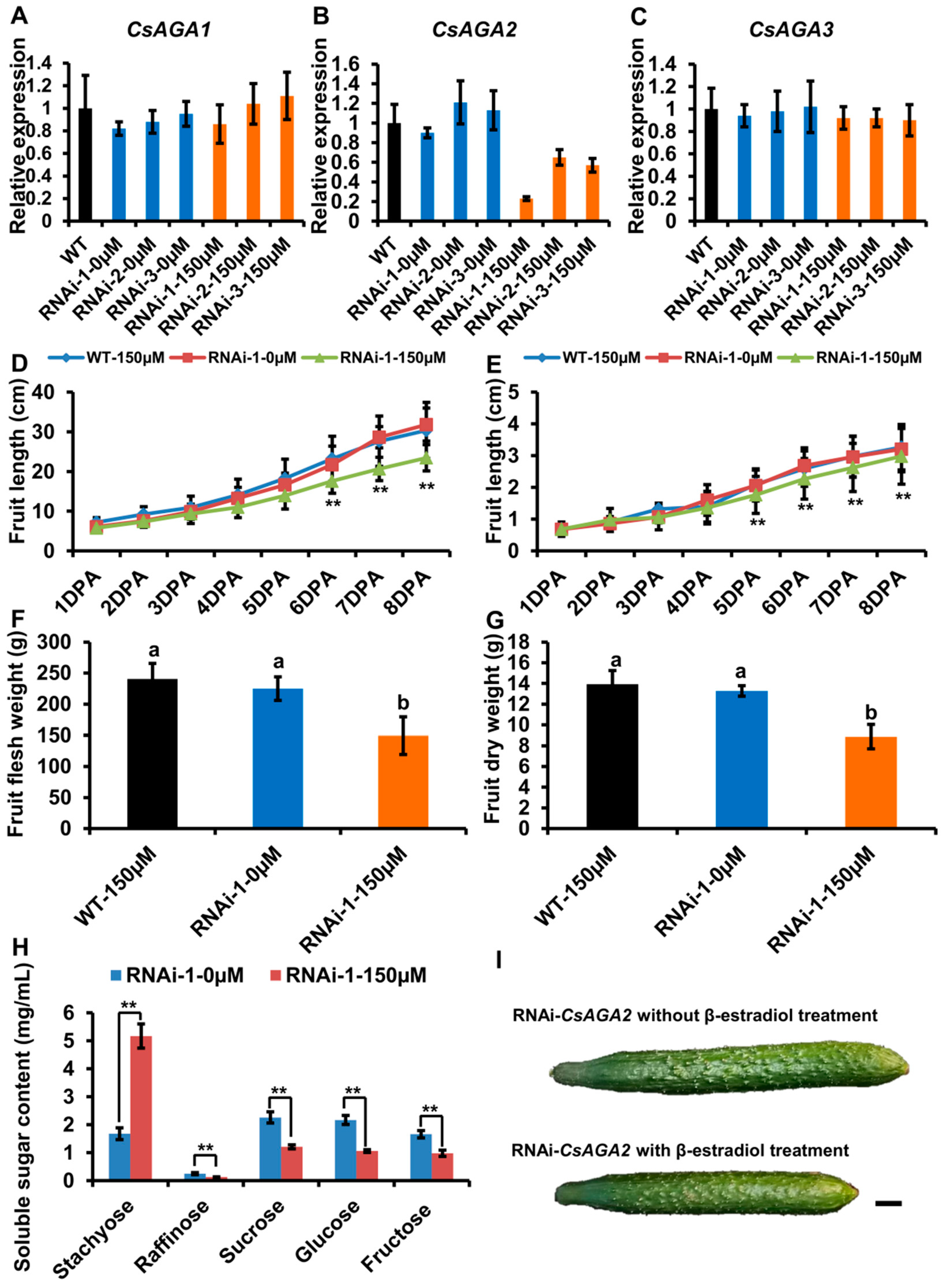 Ijms 22 13285 g004 Ijms 22 13285 g004