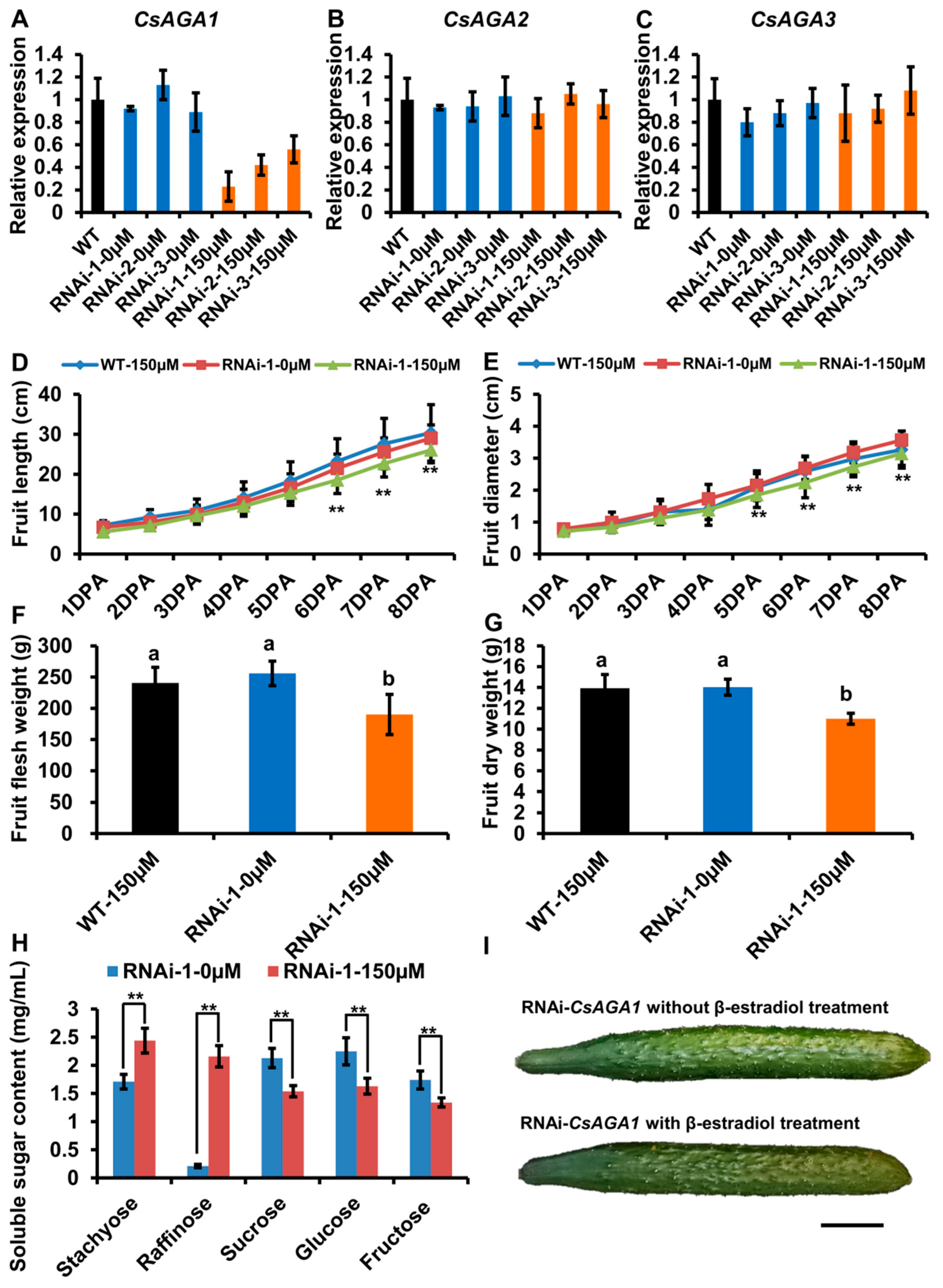 Ijms 22 13285 g005 Ijms 22 13285 g005