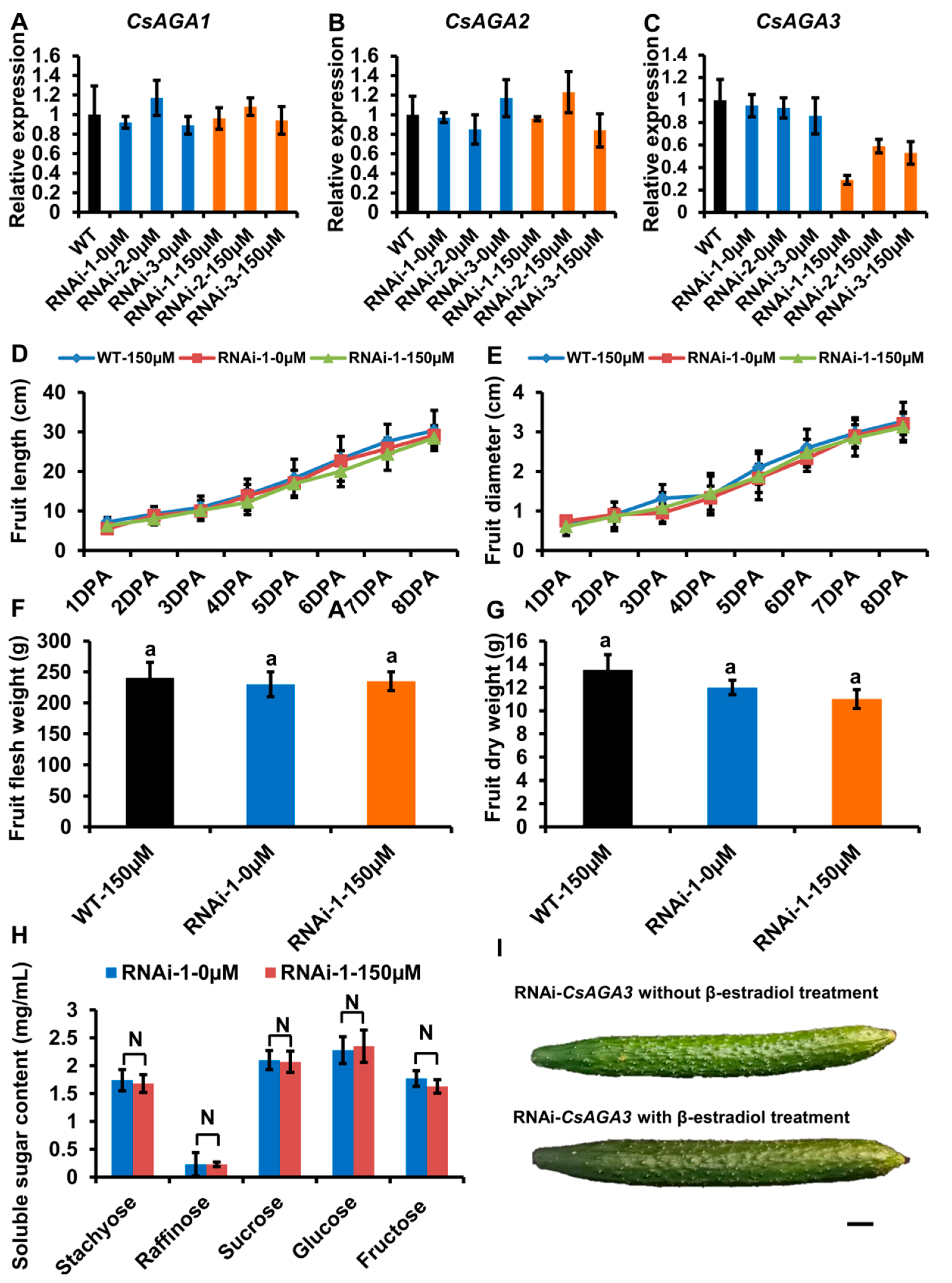 Ijms 22 13285 g006 Ijms 22 13285 g006