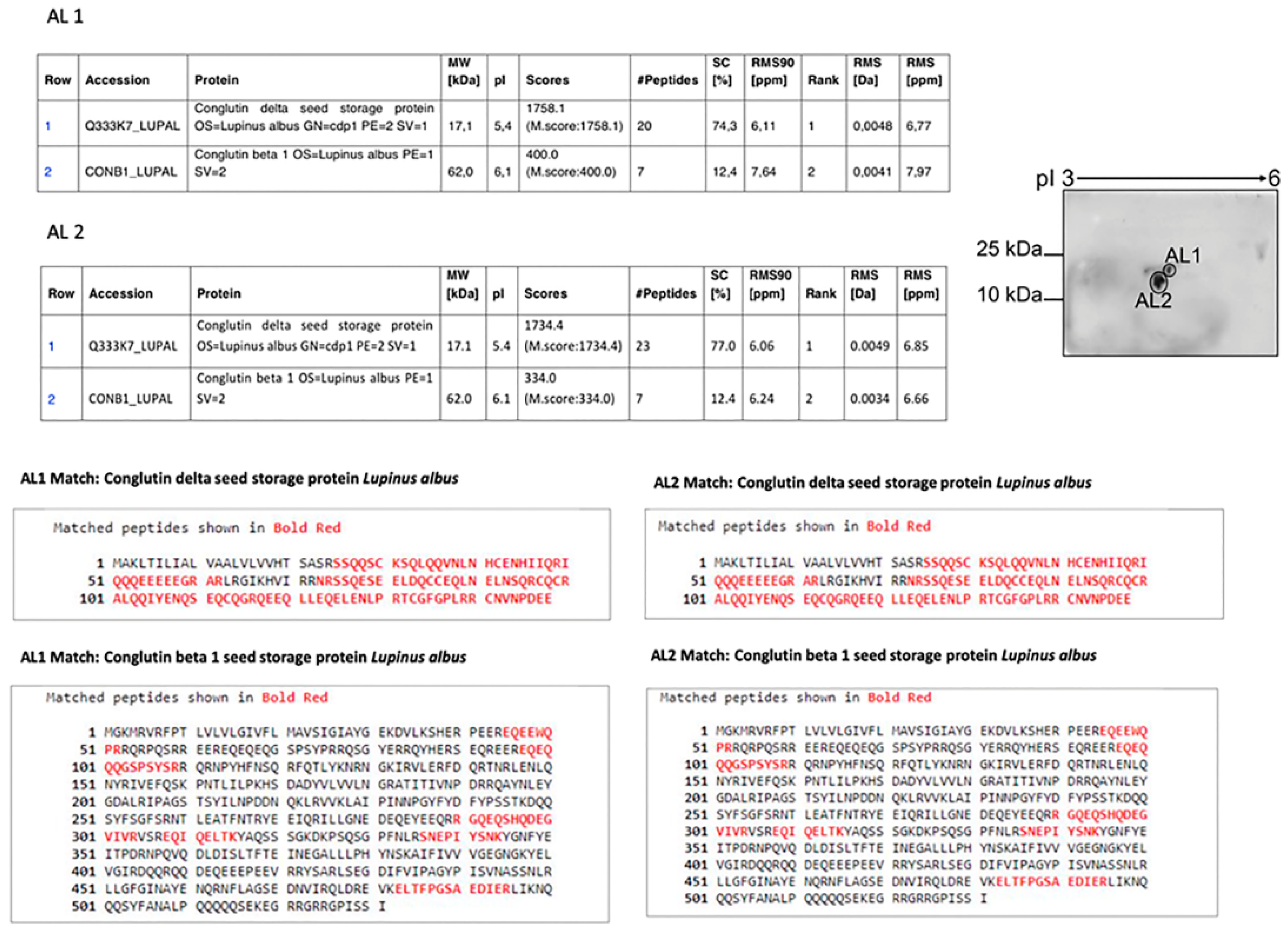 Ijms 22 13286 g003 Ijms 22 13286 g003