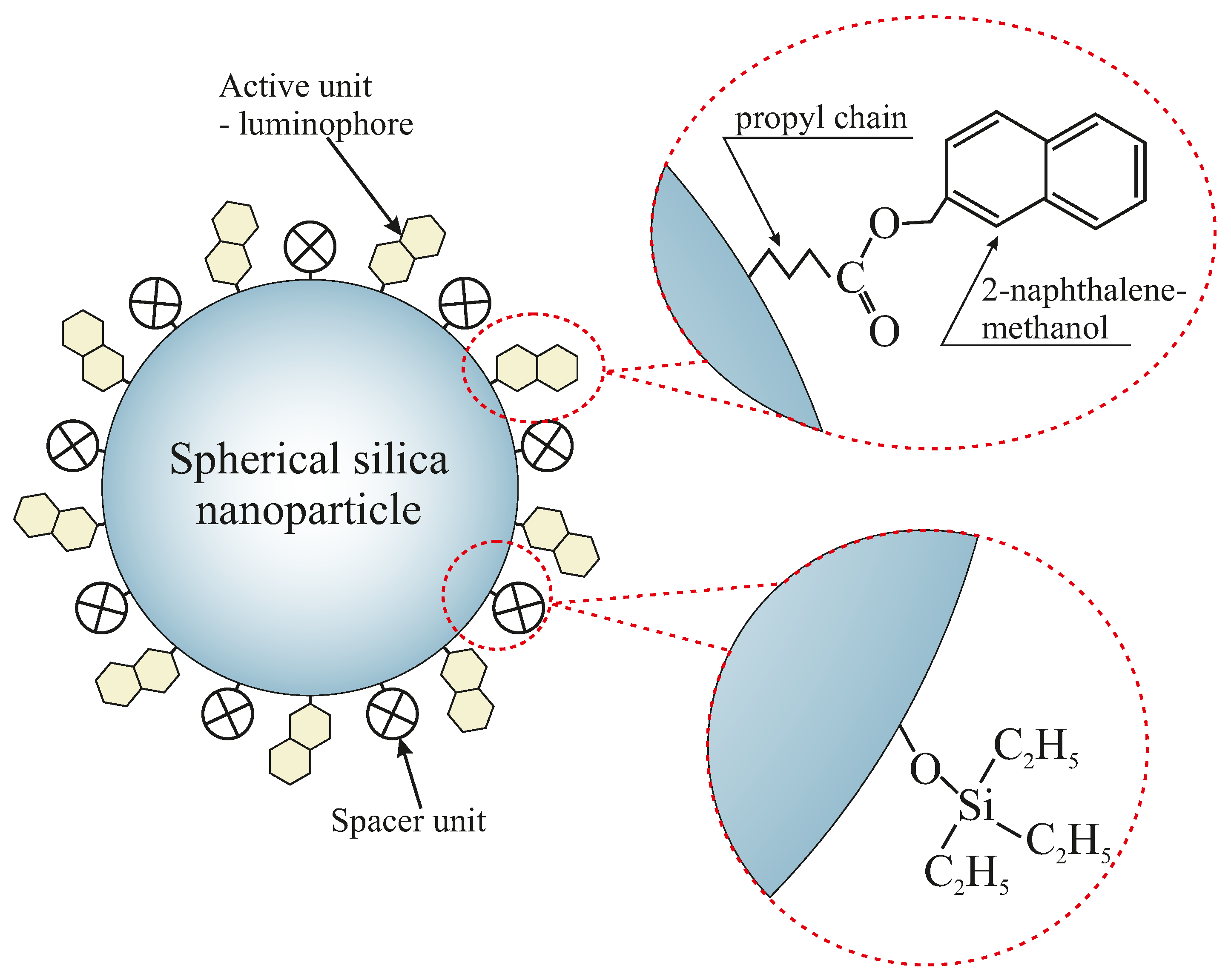 Ijms 22 13289 g001 550