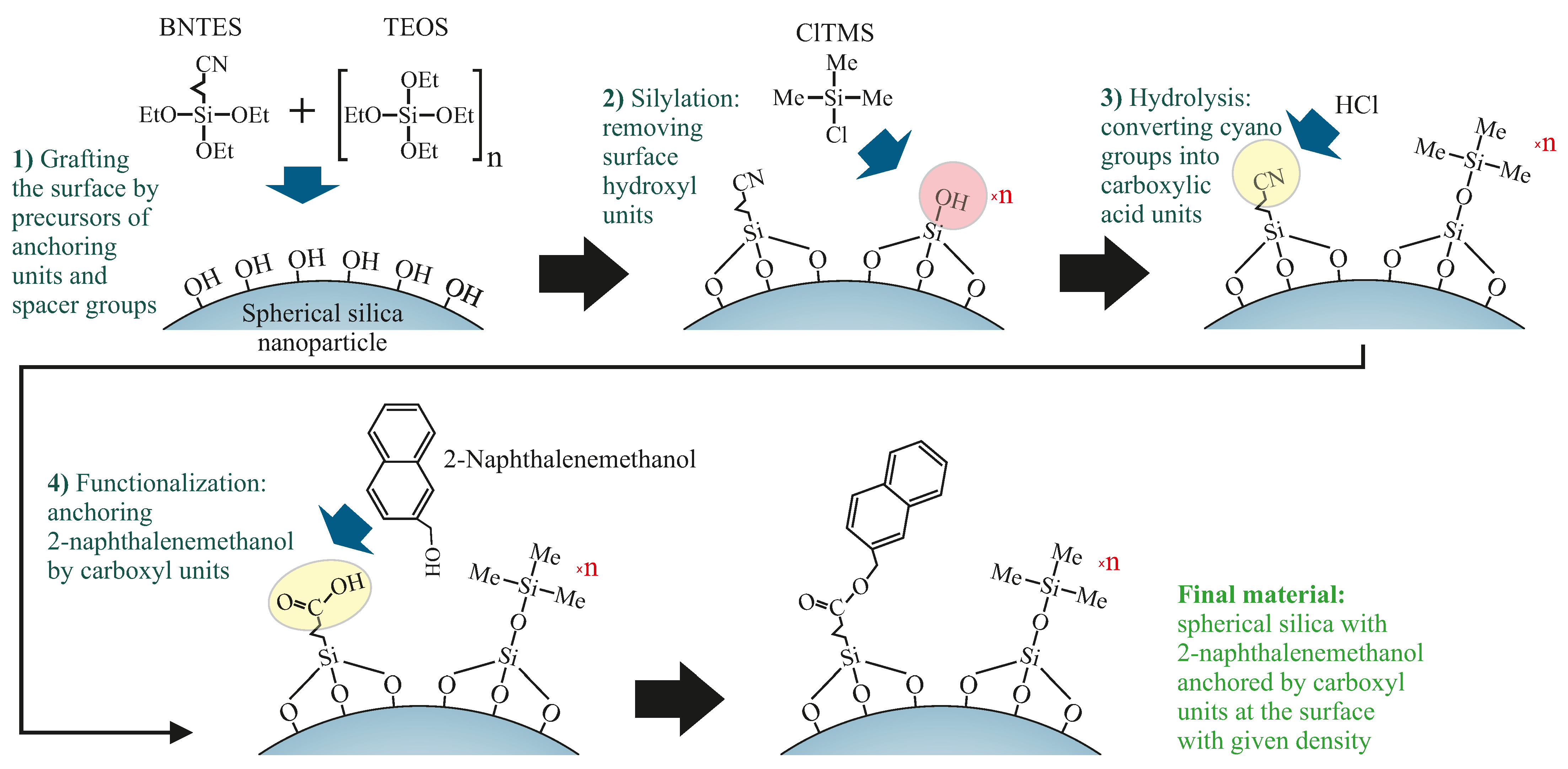 Ijms 22 13289 g002 550