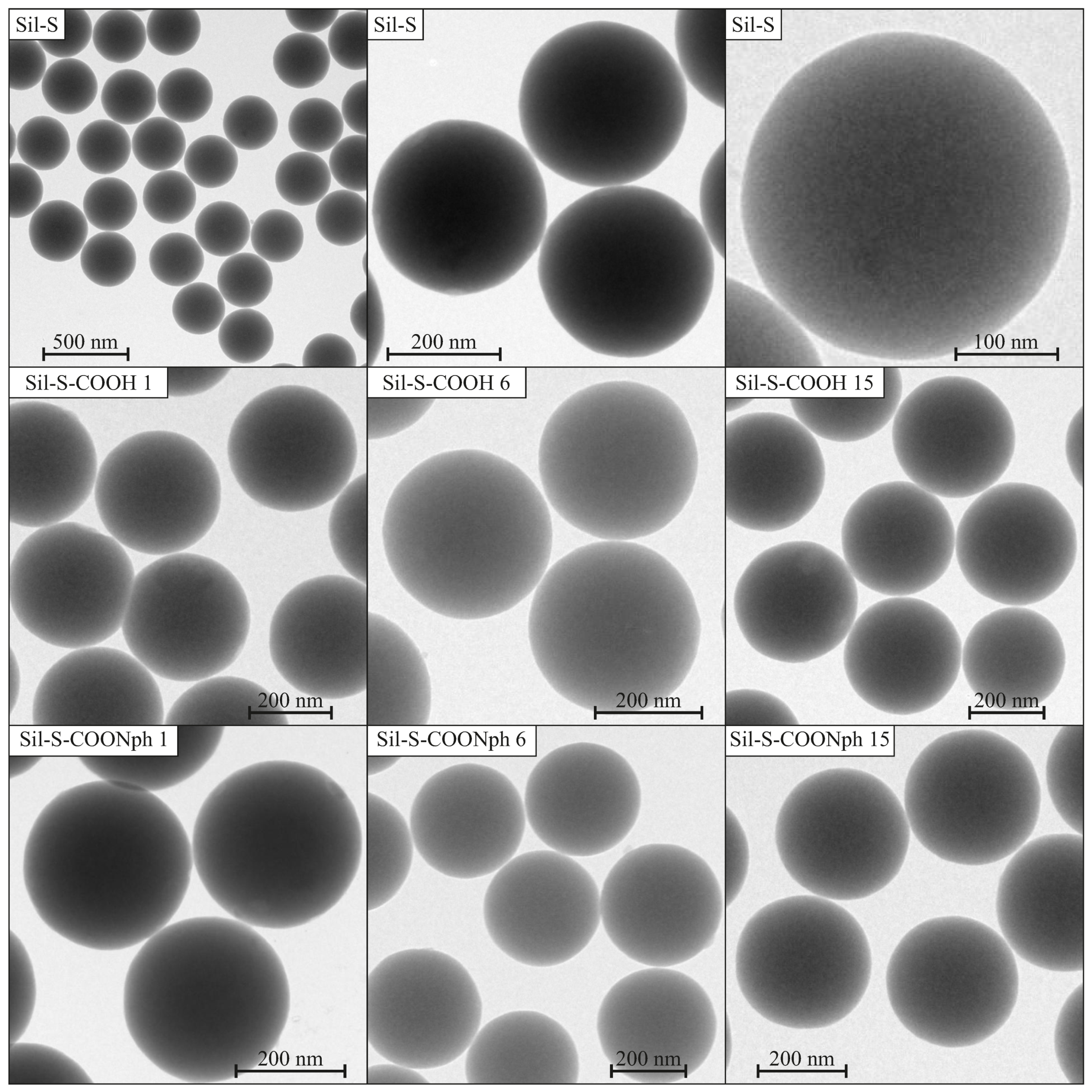 Ijms 22 13289 g003 550