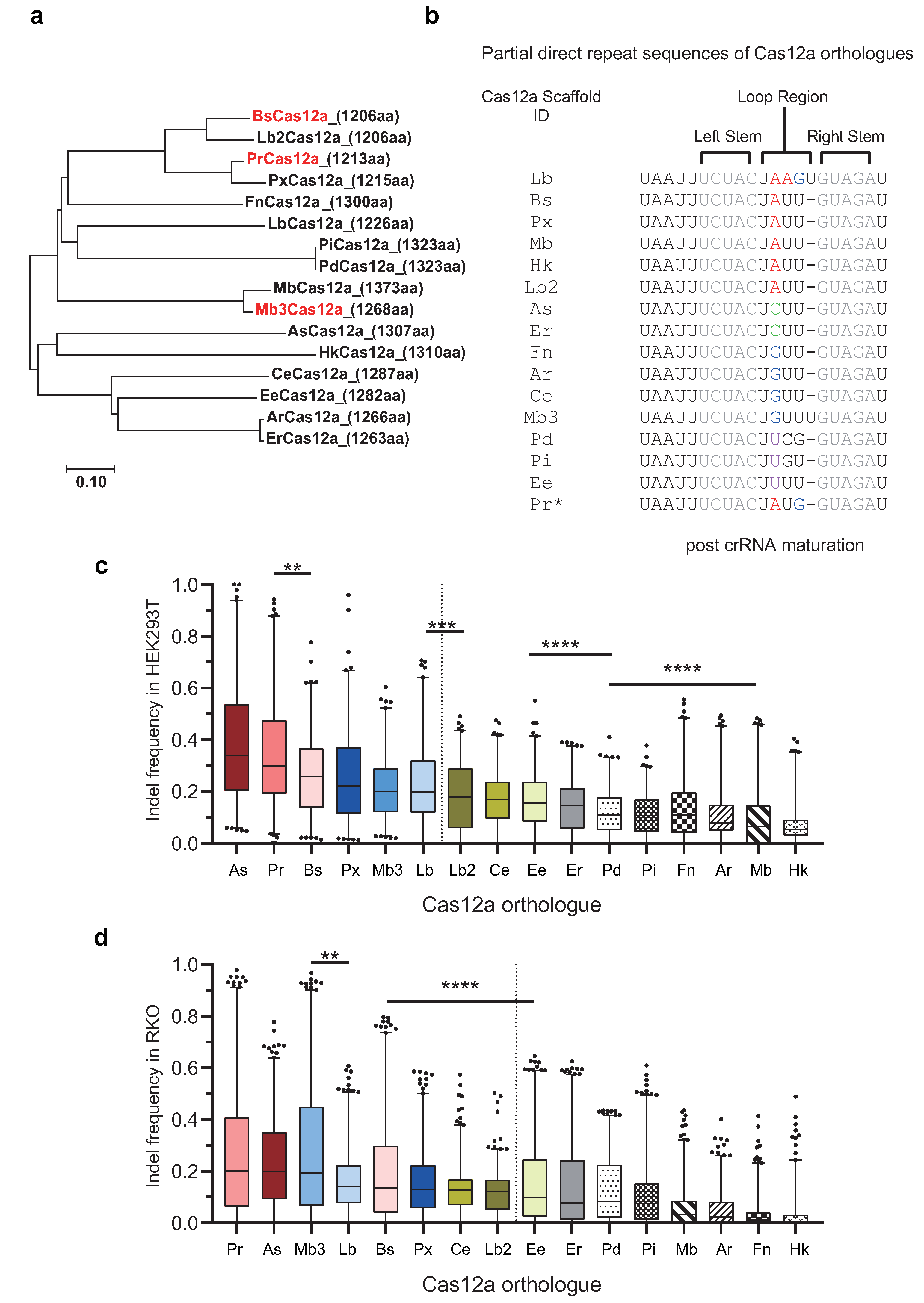 Ijms 22 13301 g002 550