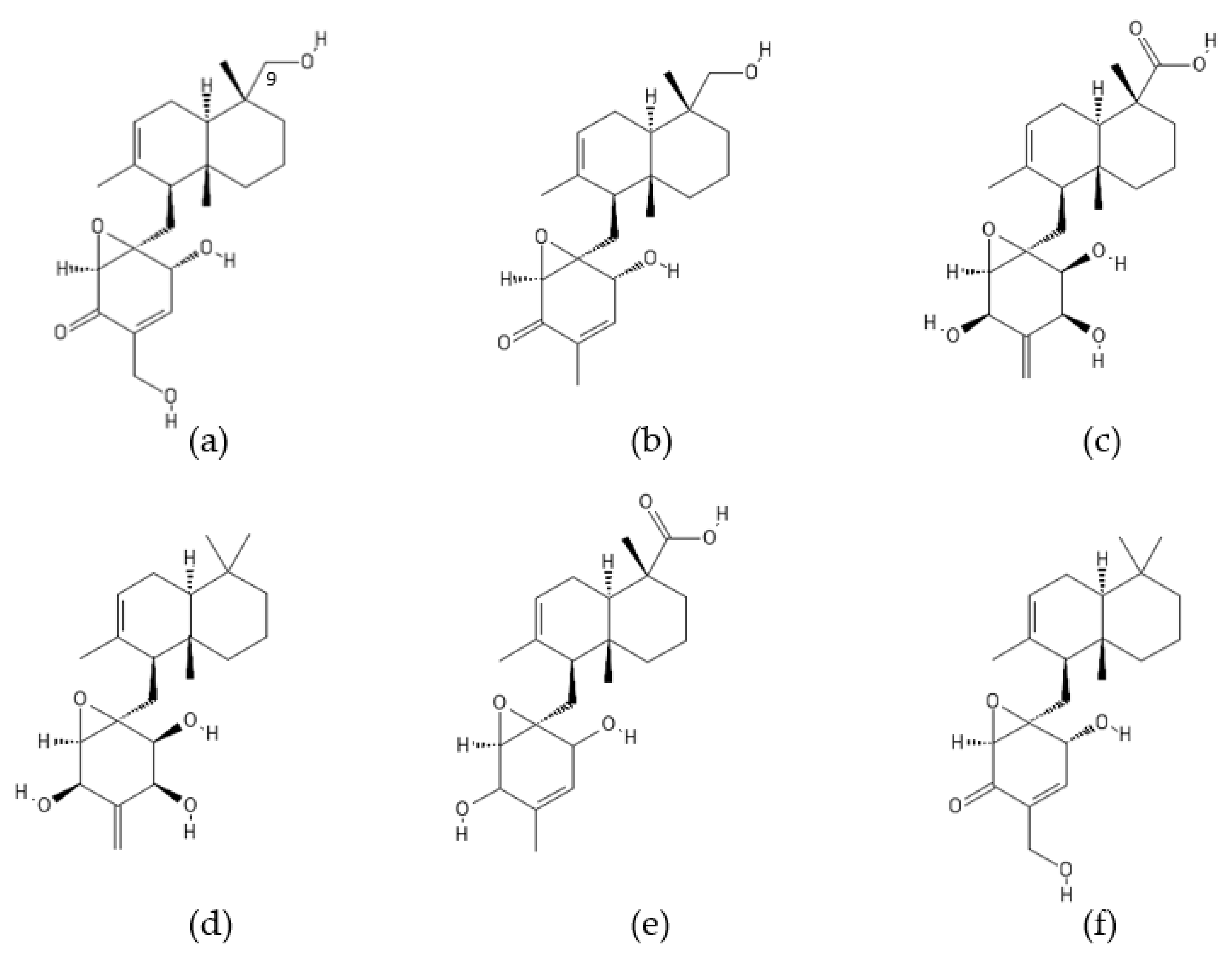 Ijms 22 13309 g007 Ijms 22 13309 g007