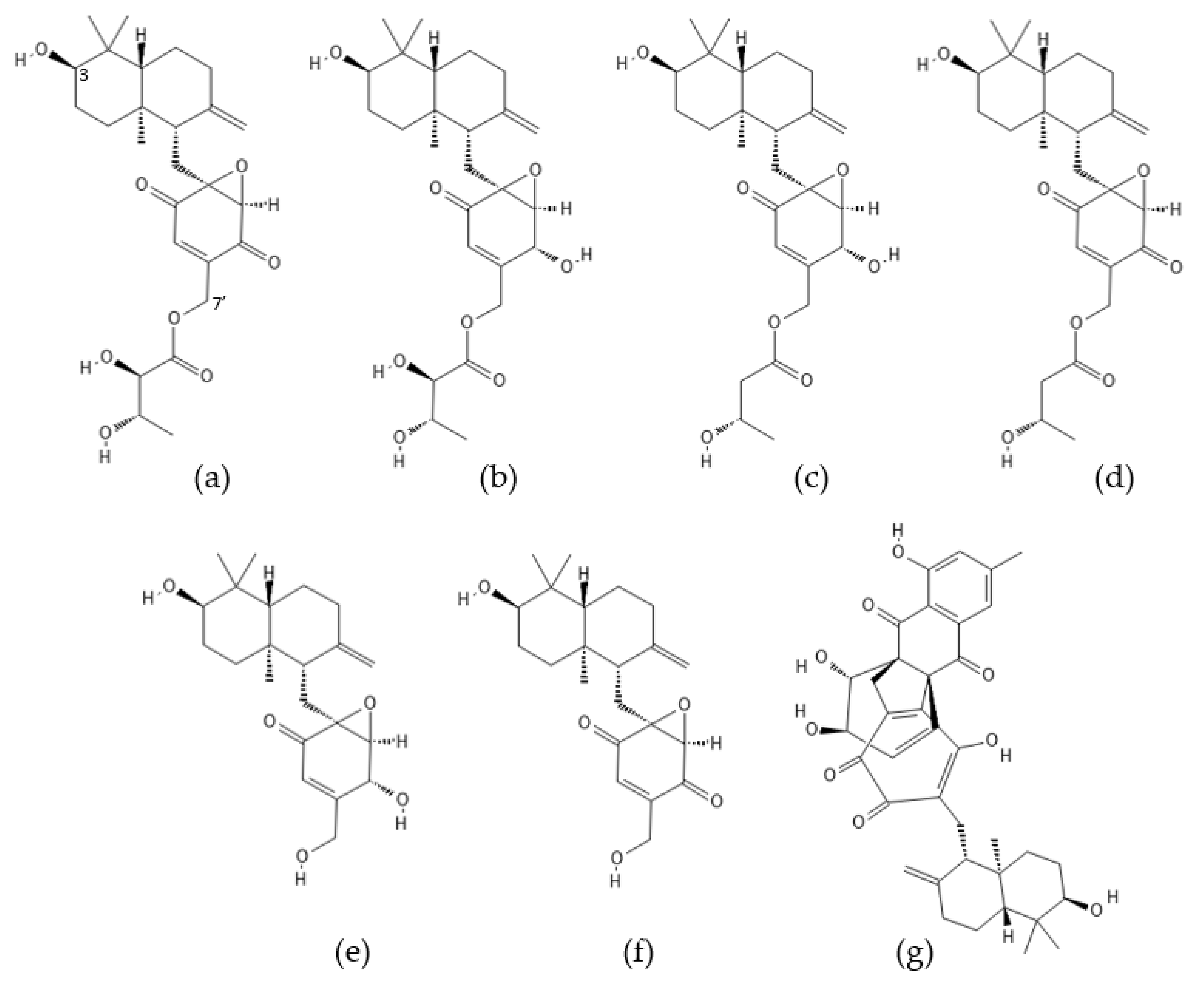 Ijms 22 13309 g008 Ijms 22 13309 g008