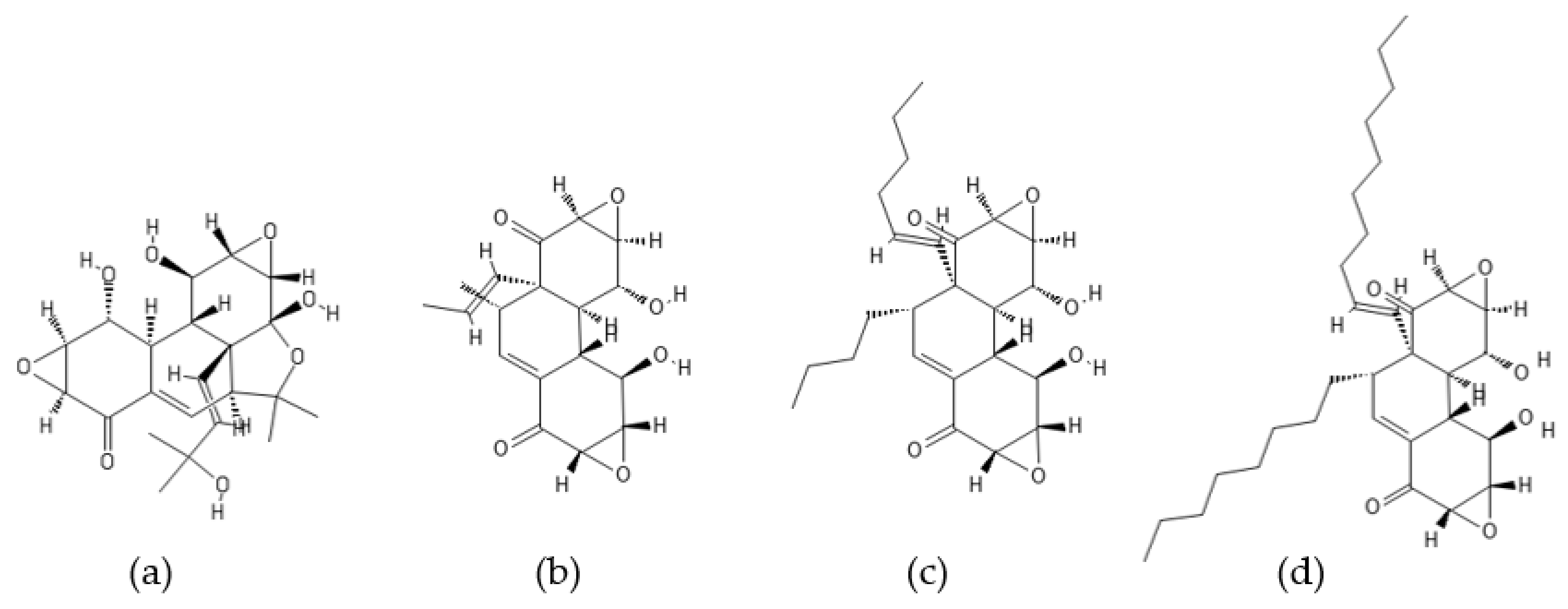 Ijms 22 13309 g013 Ijms 22 13309 g013