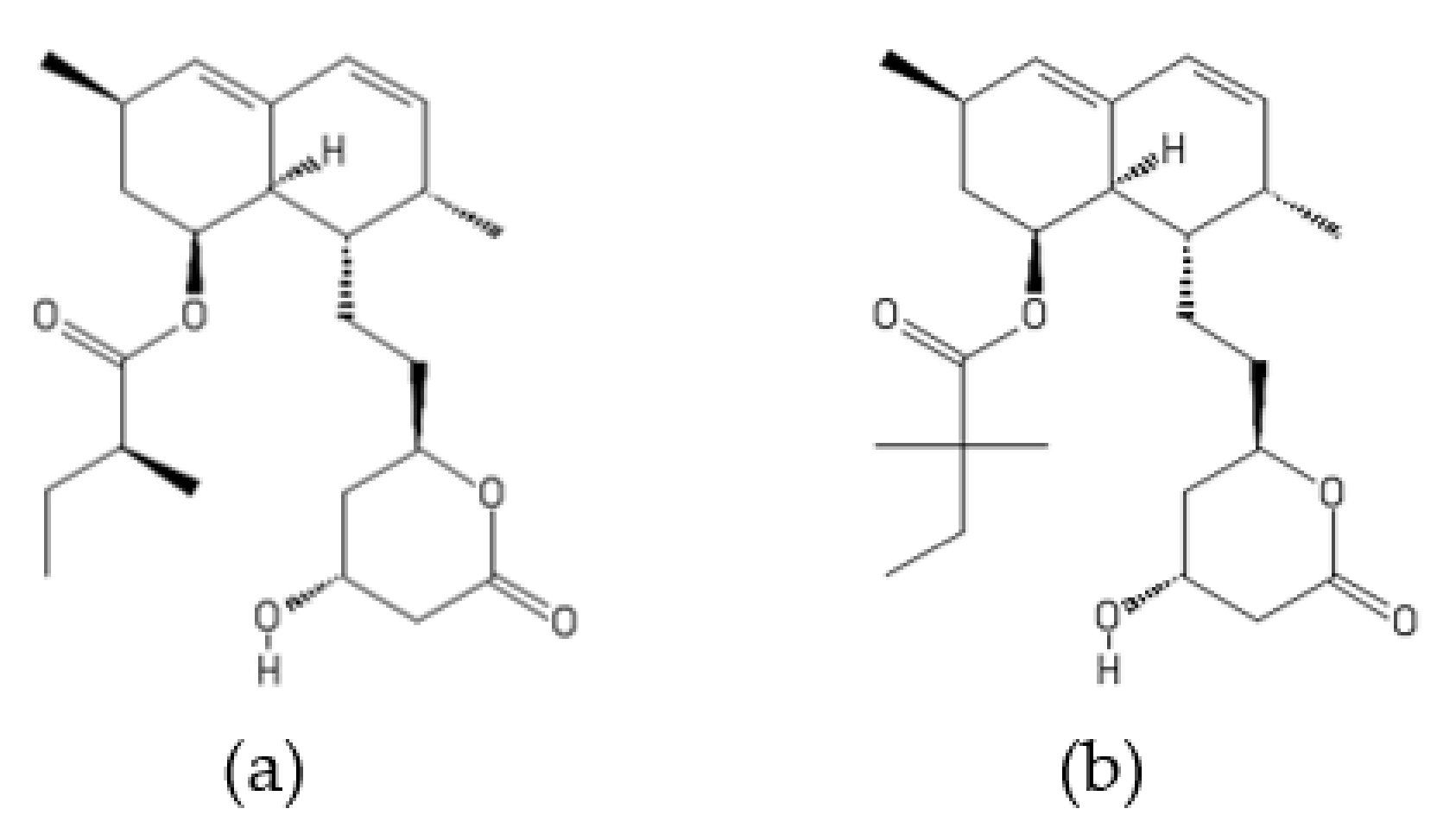 Ijms 22 13309 g018 Ijms 22 13309 g018