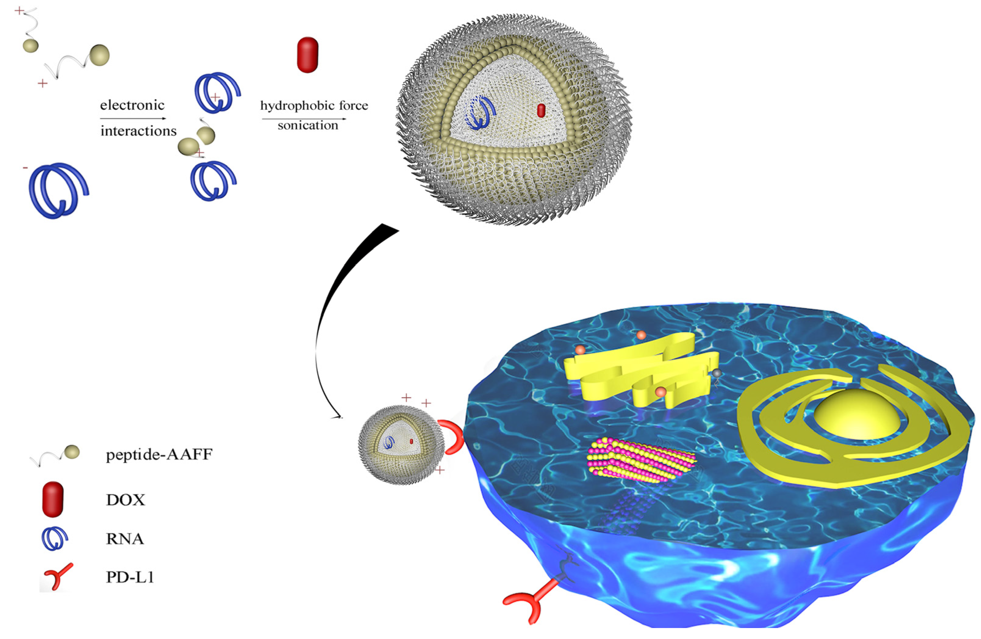 Ijms 22 13314 g001 550