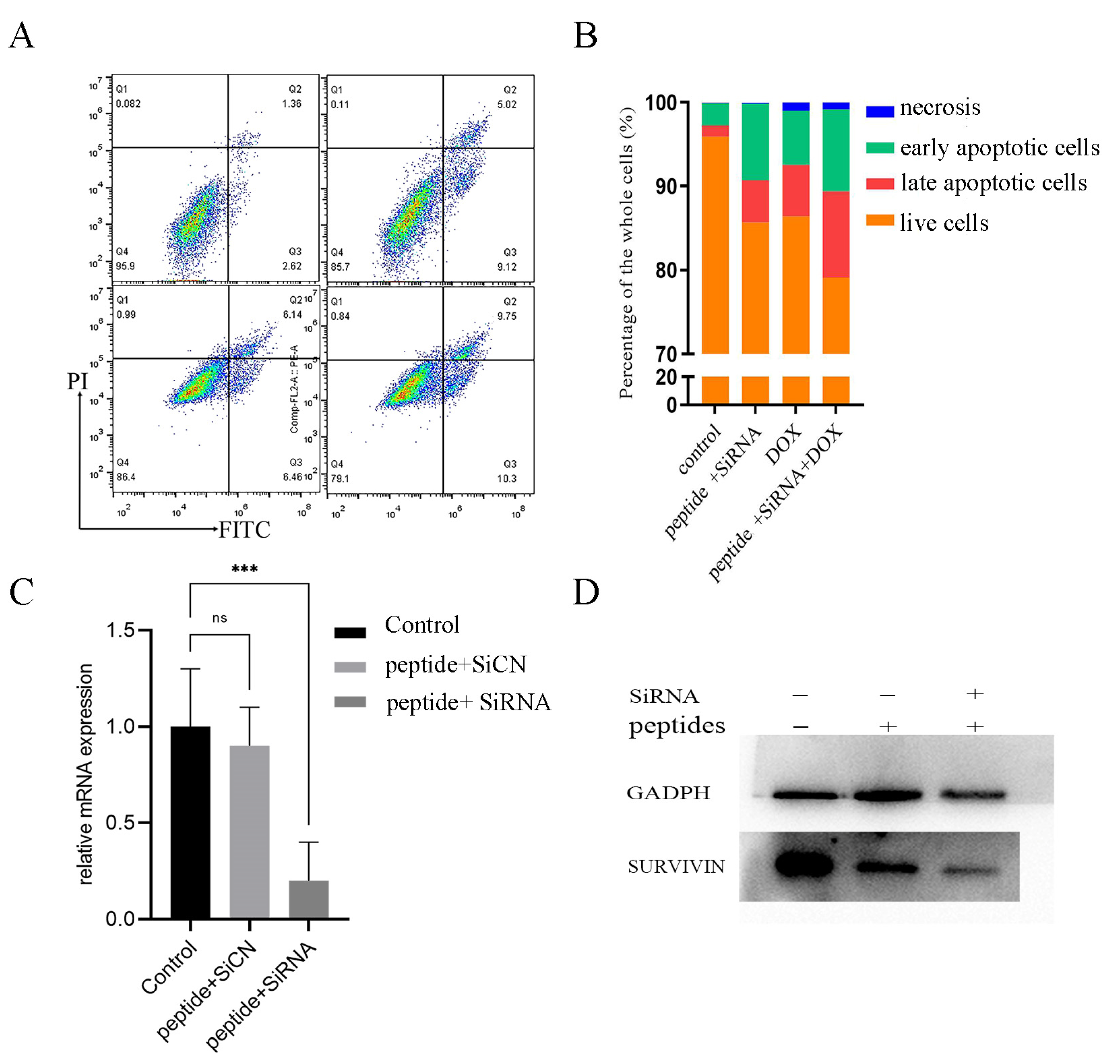 Ijms 22 13314 g006 550