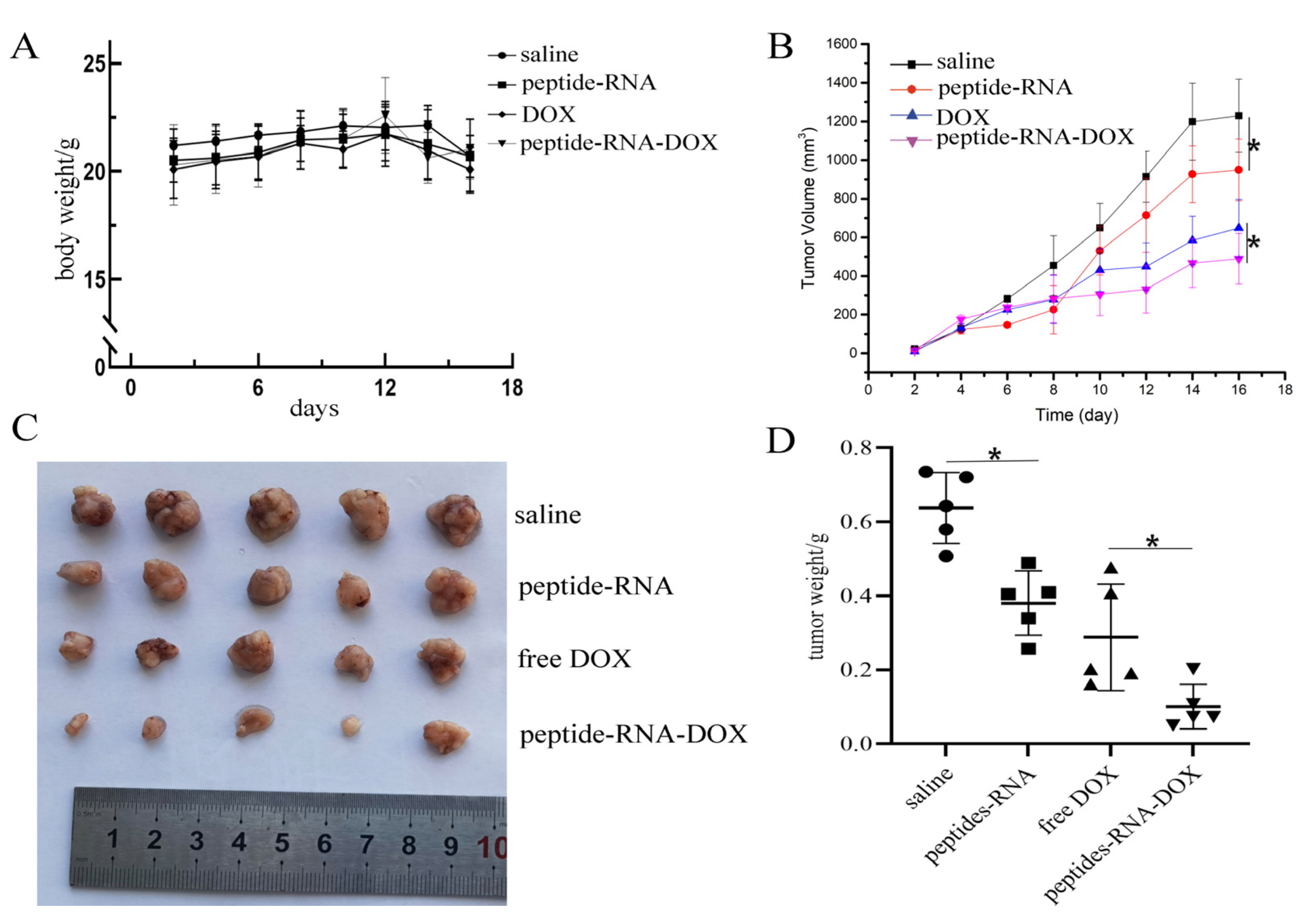 Ijms 22 13314 g007 550