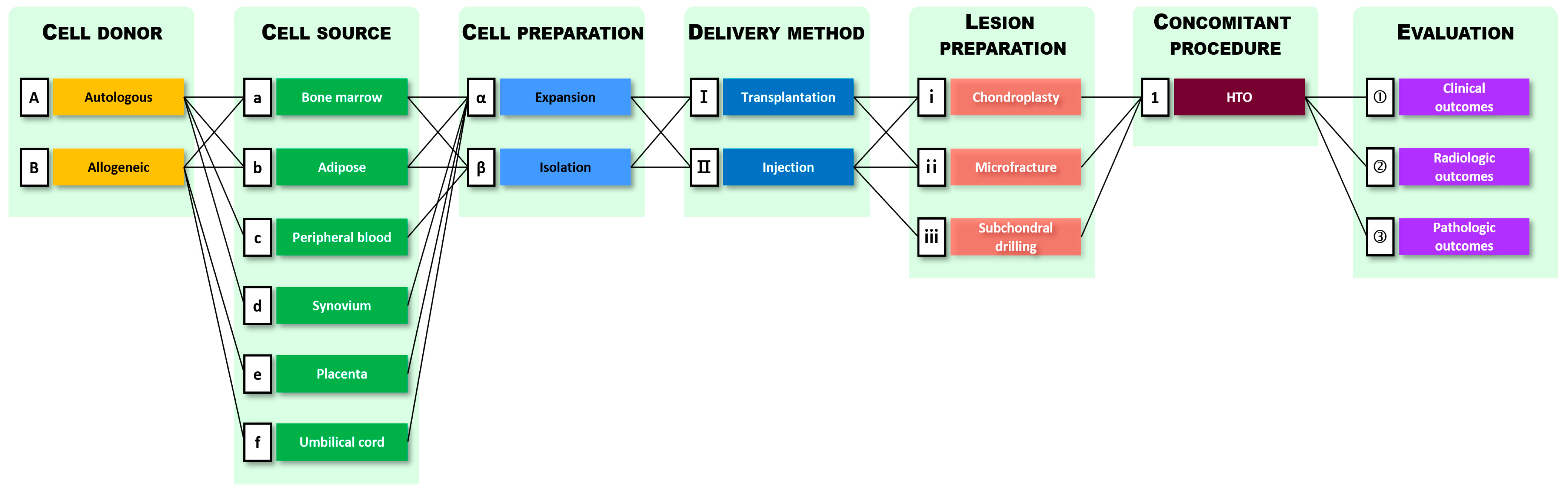 Ijms 22 13323 g002 550