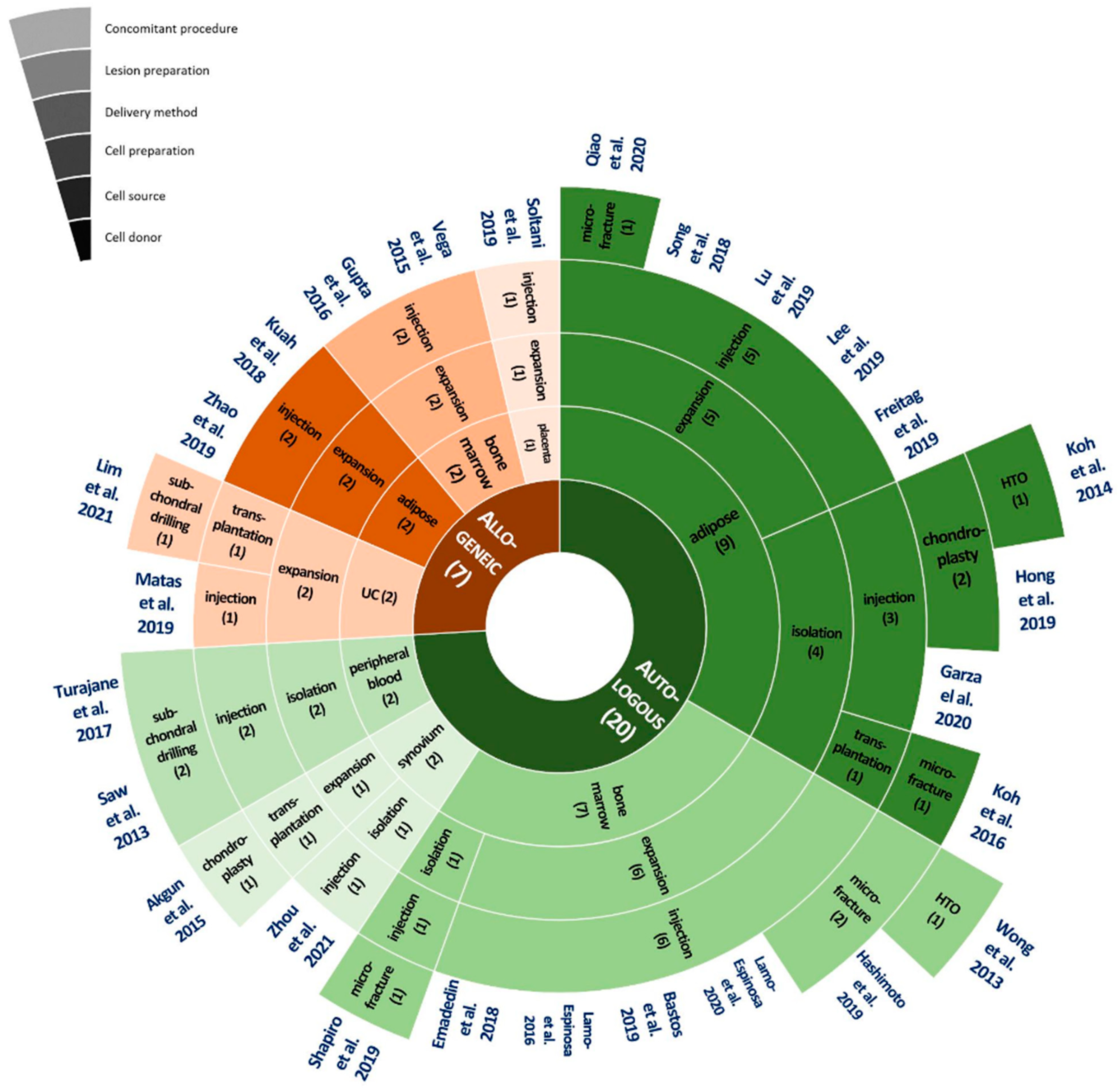 Ijms 22 13323 g004 550