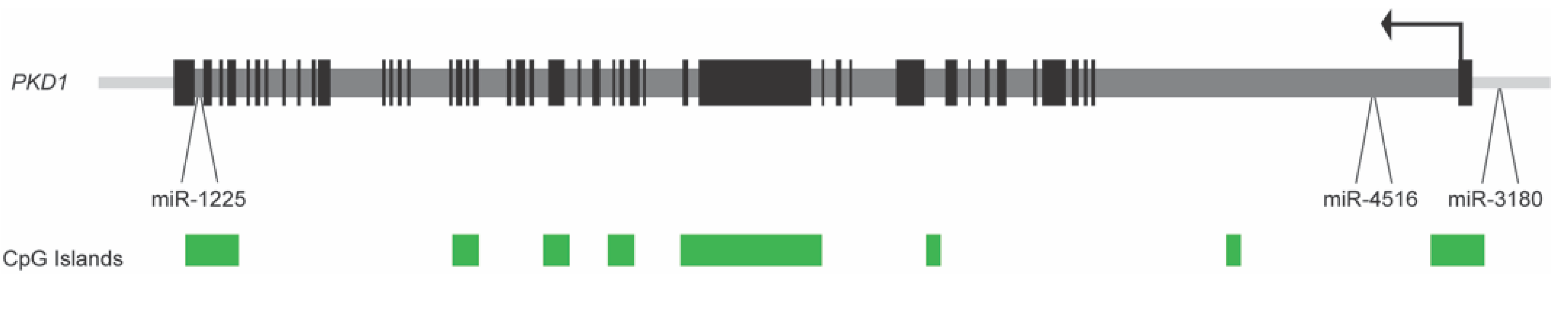 Ijms 22 13327 g001 Ijms 22 13327 g001