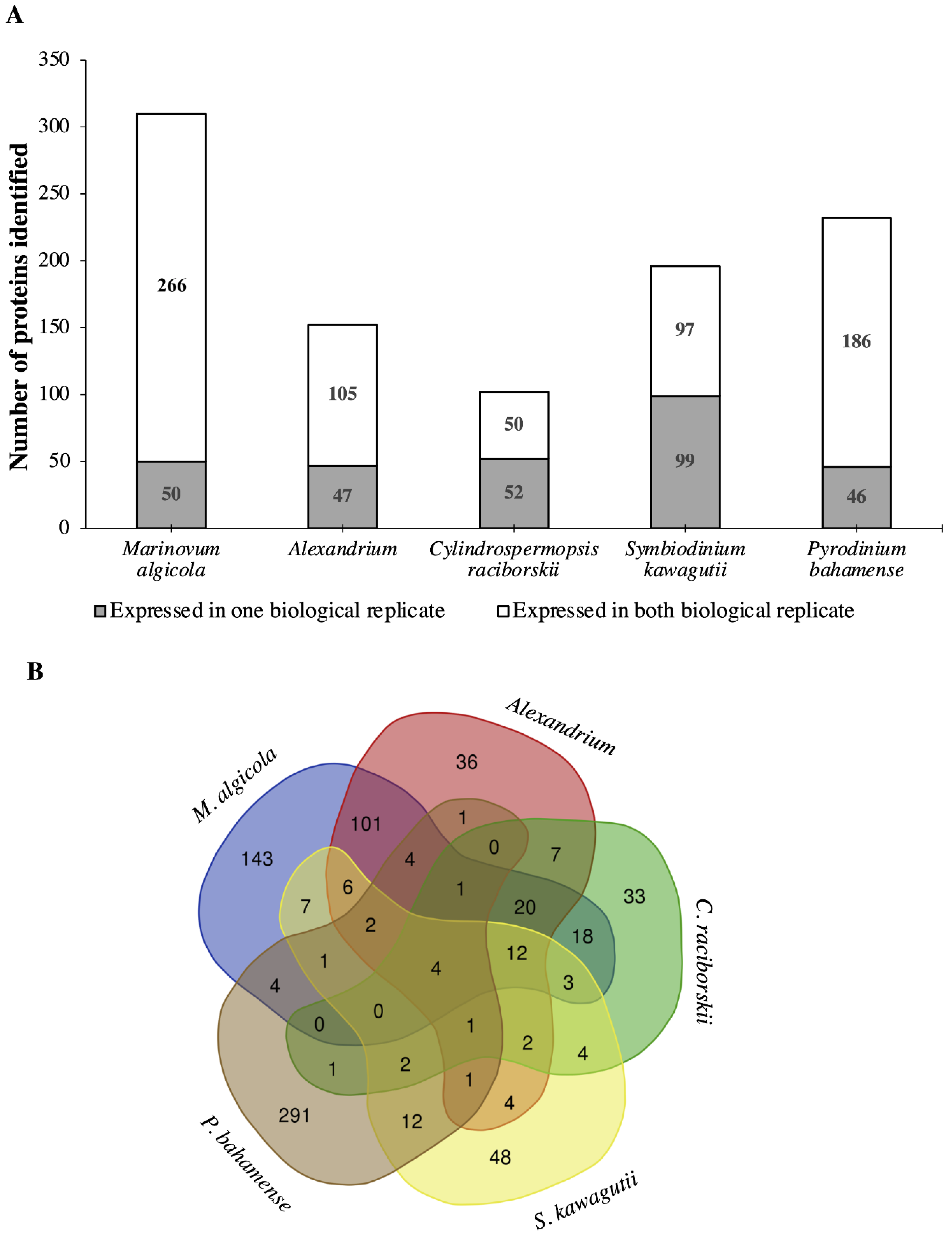 Biochemical Mapping of Pyrodinium bahamense Unveils