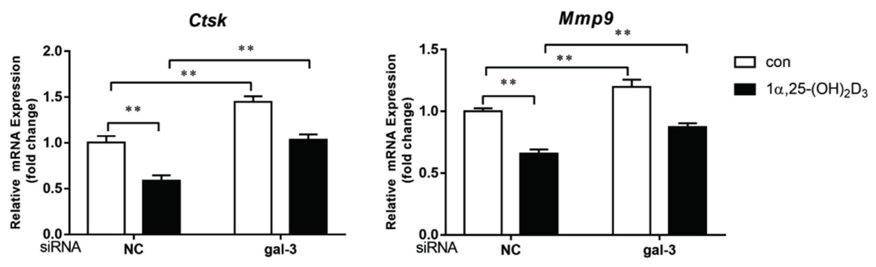 Ijms 22 13334 g008 550