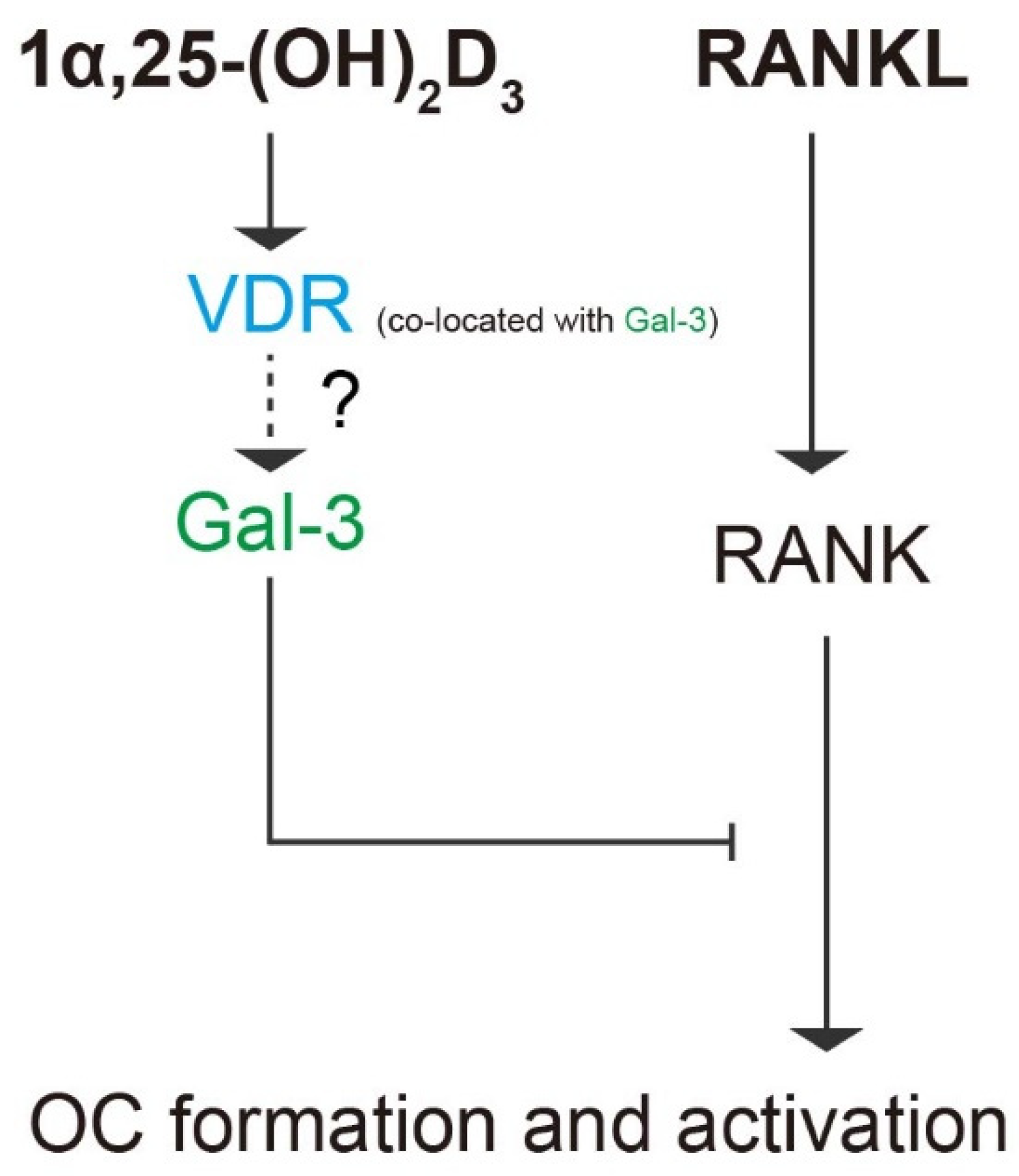 Ijms 22 13334 g012 550