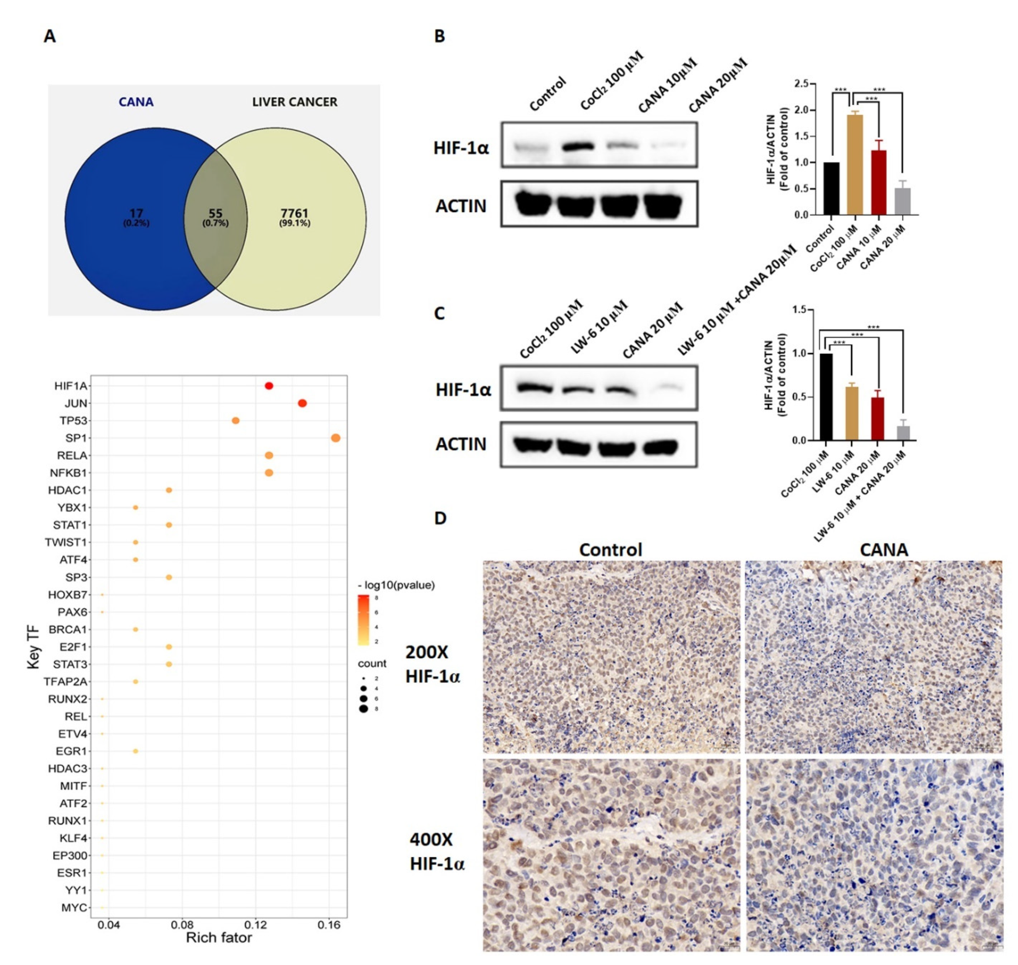 Ijms 22 13336 g005 550