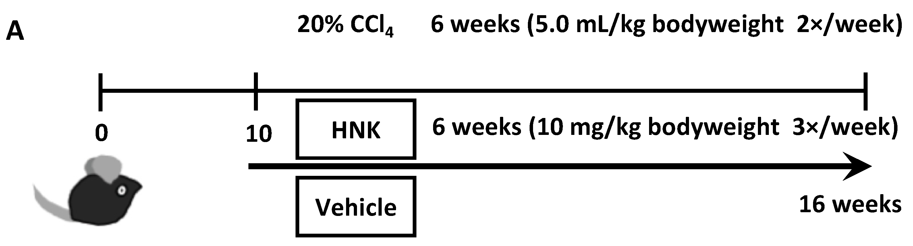 Ijms 22 13354 g001a 550