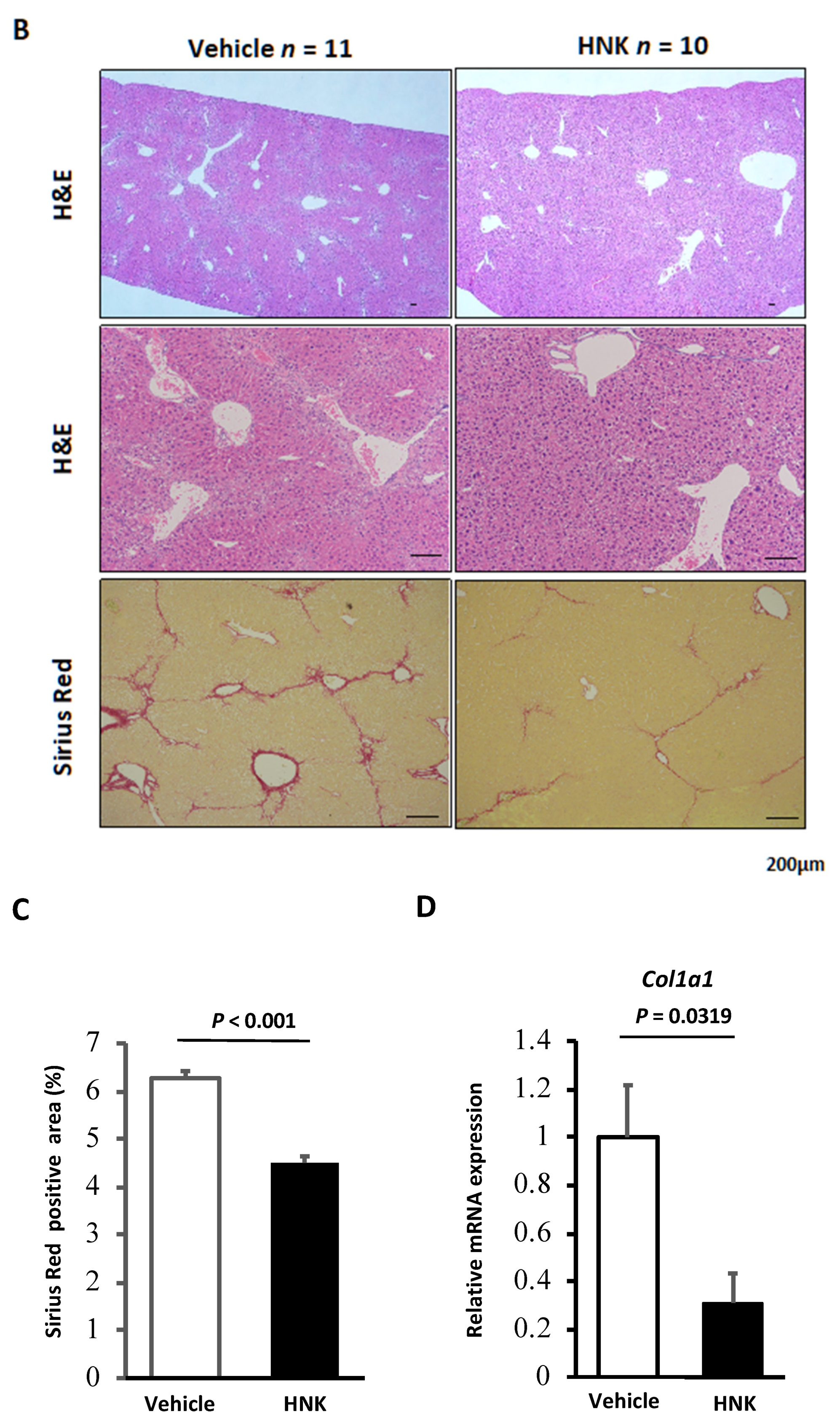 Ijms 22 13354 g001b 550