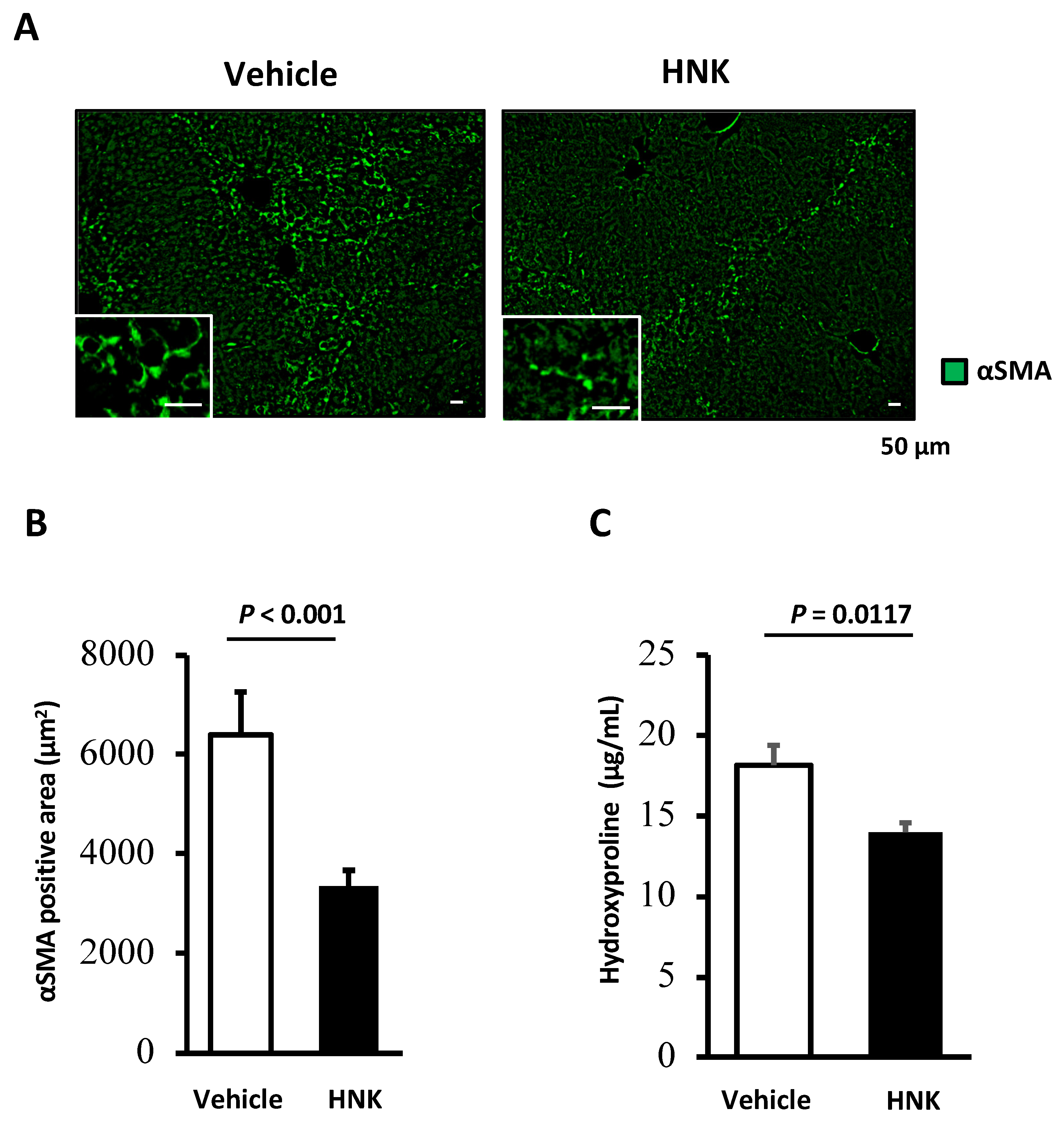 Ijms 22 13354 g002 550